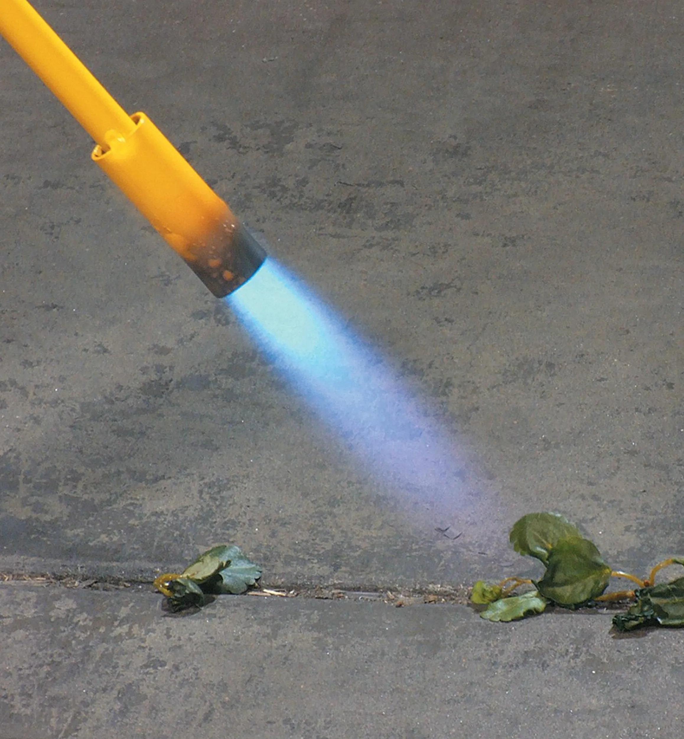 Lee Valley Weeding>Mini Weed Torch