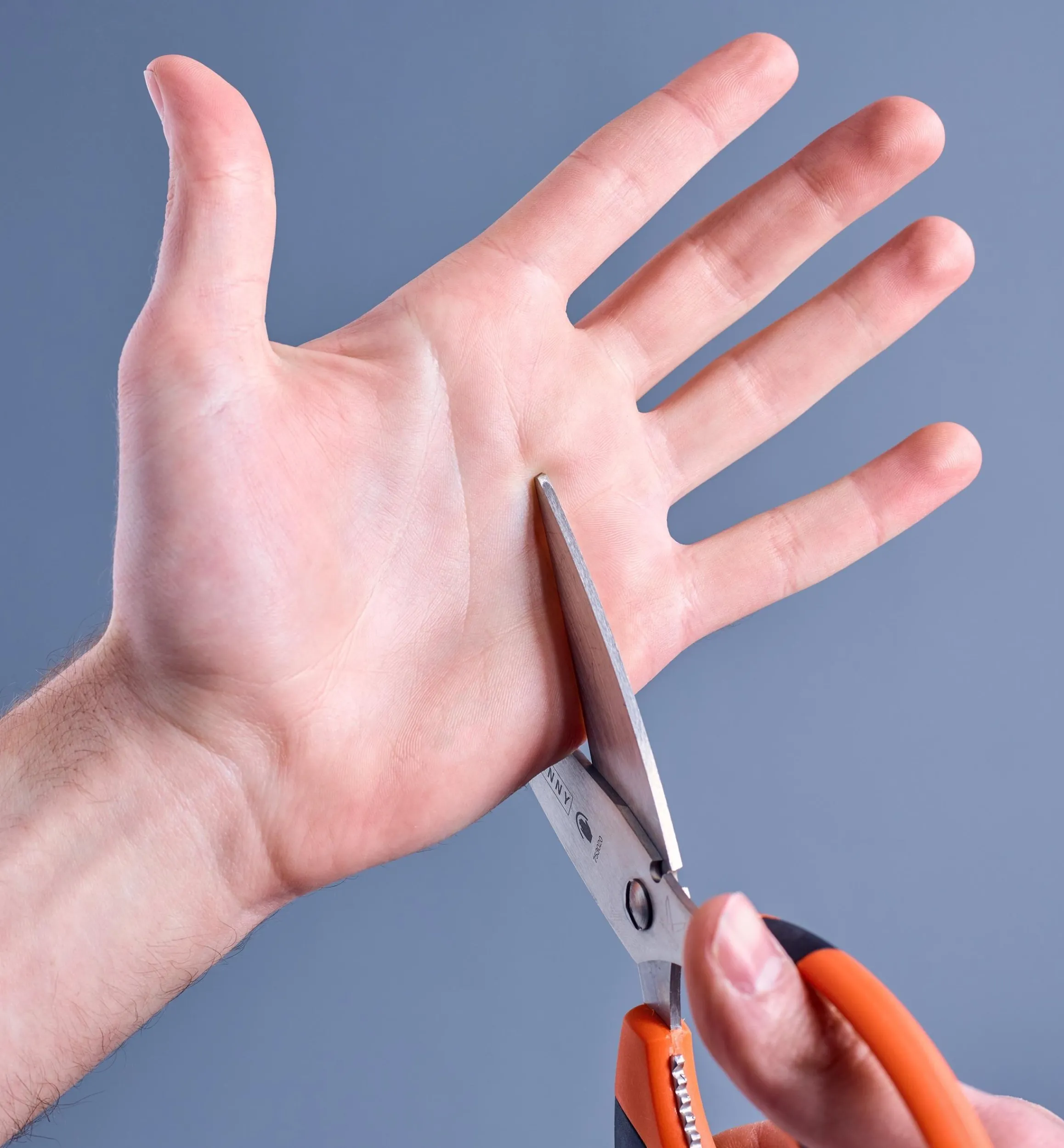 Lee Valley Scissors>Multi-Purpose Safety Scissors