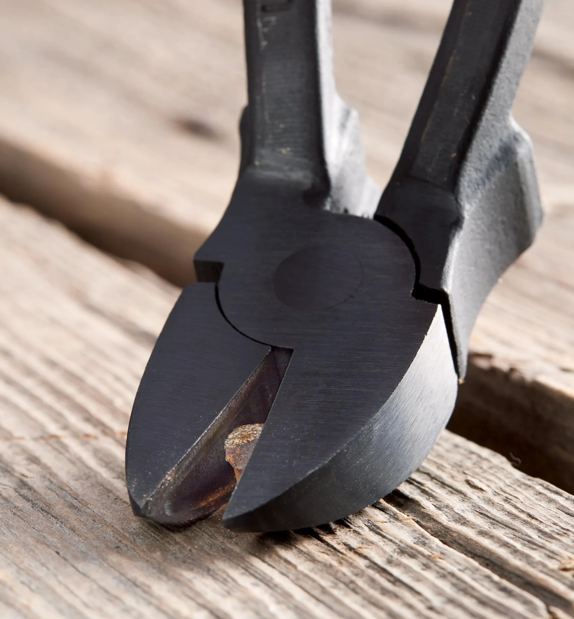 Lee Valley Hand Tools>Nail Hunter