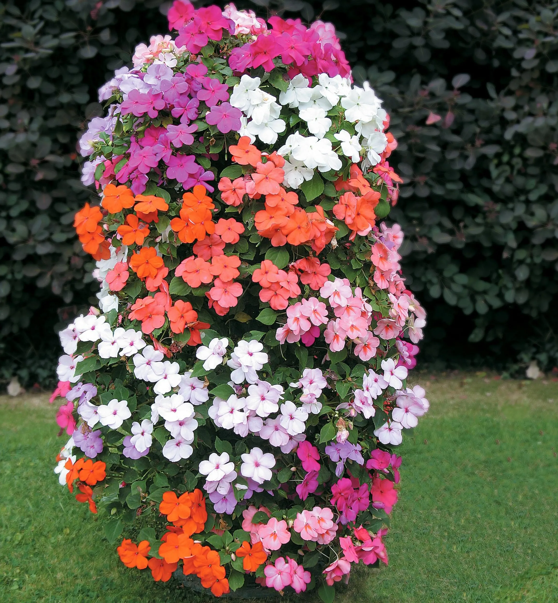 Lee Valley Container Gardening>Pair Of Flower Towers