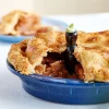 Lee Valley Pastry Tools>Pie Bird