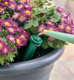 Lee Valley Indoor Gardening>PlantWell Watering Bulb