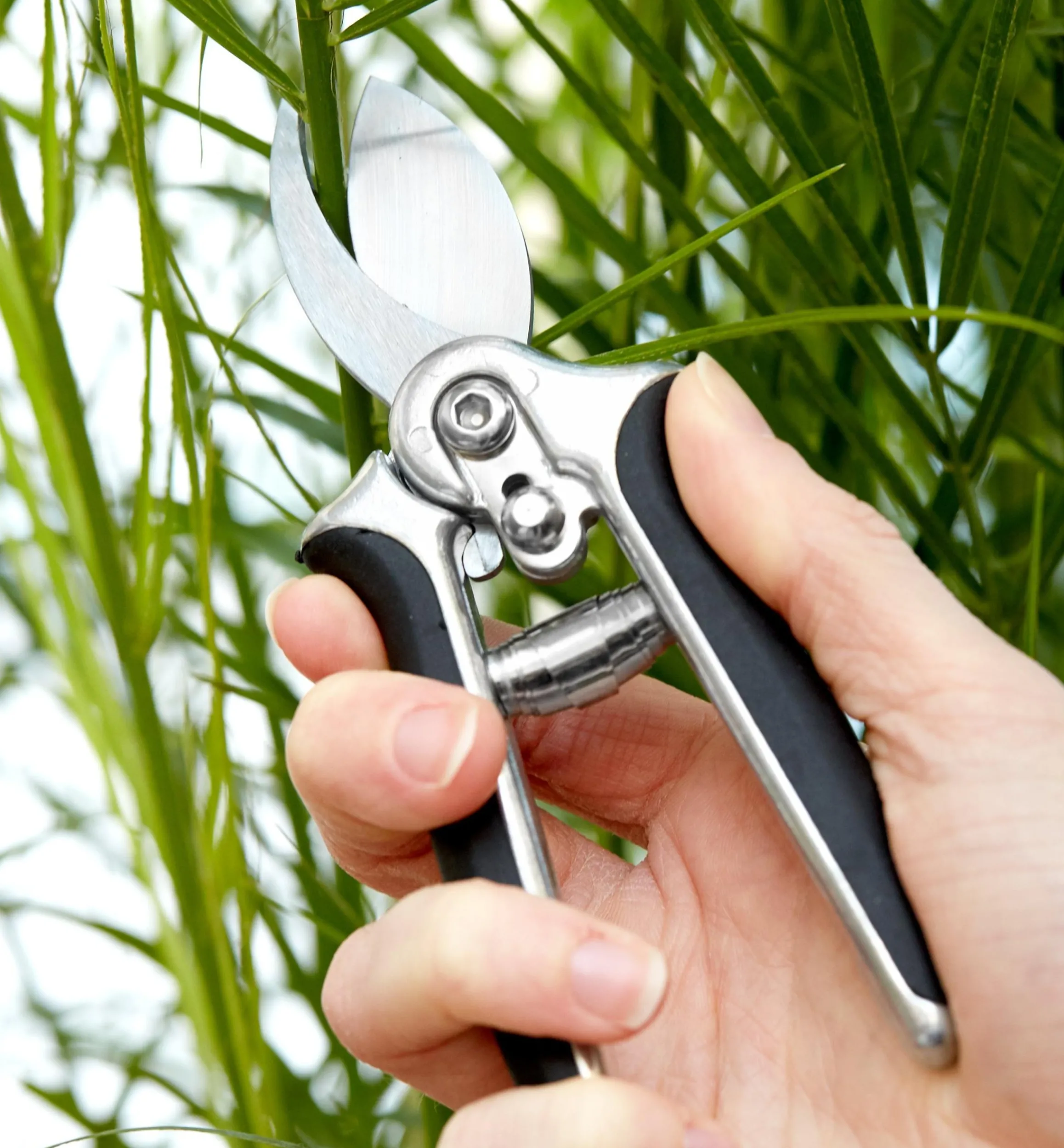Lee Valley Pruners>Pocket Pruner