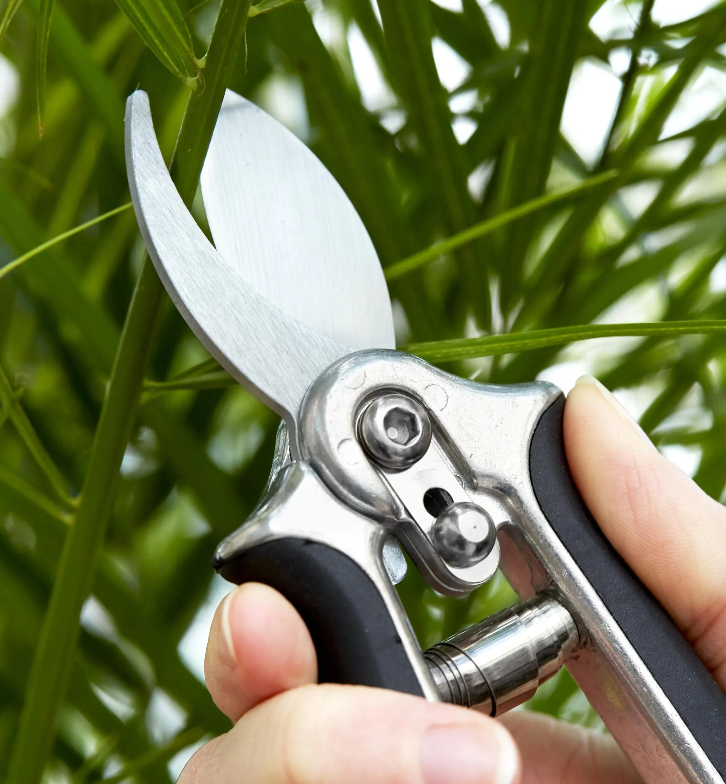 Lee Valley Pruners>Pocket Pruner