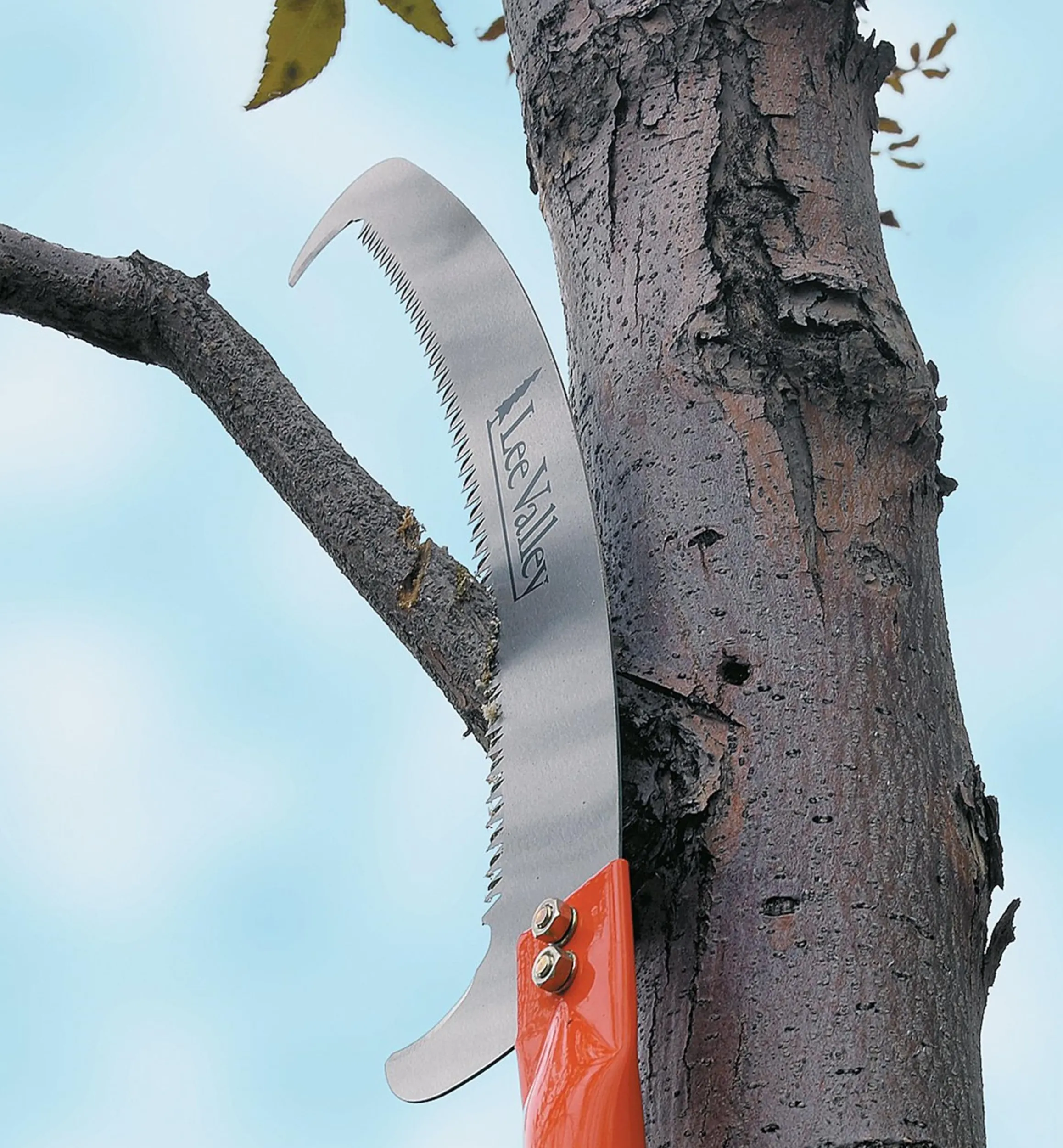 Lee Valley Saws>Pole Saw Head