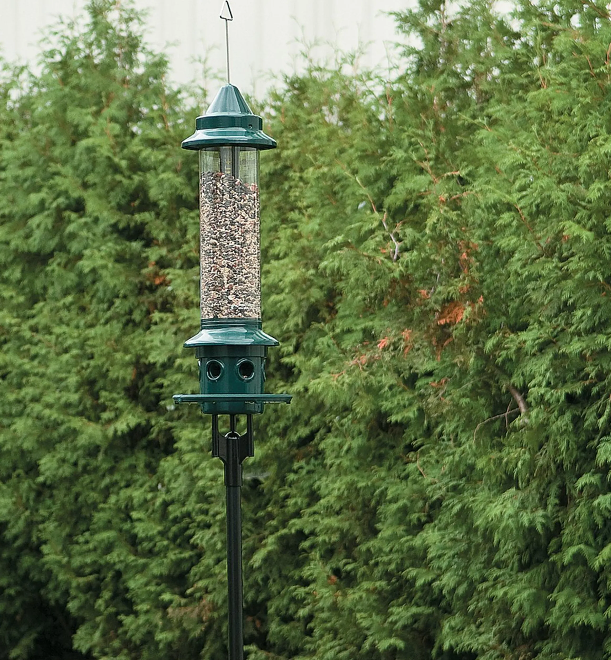 Lee Valley Birding>Pole Adapter For Squirrel Buster Plus