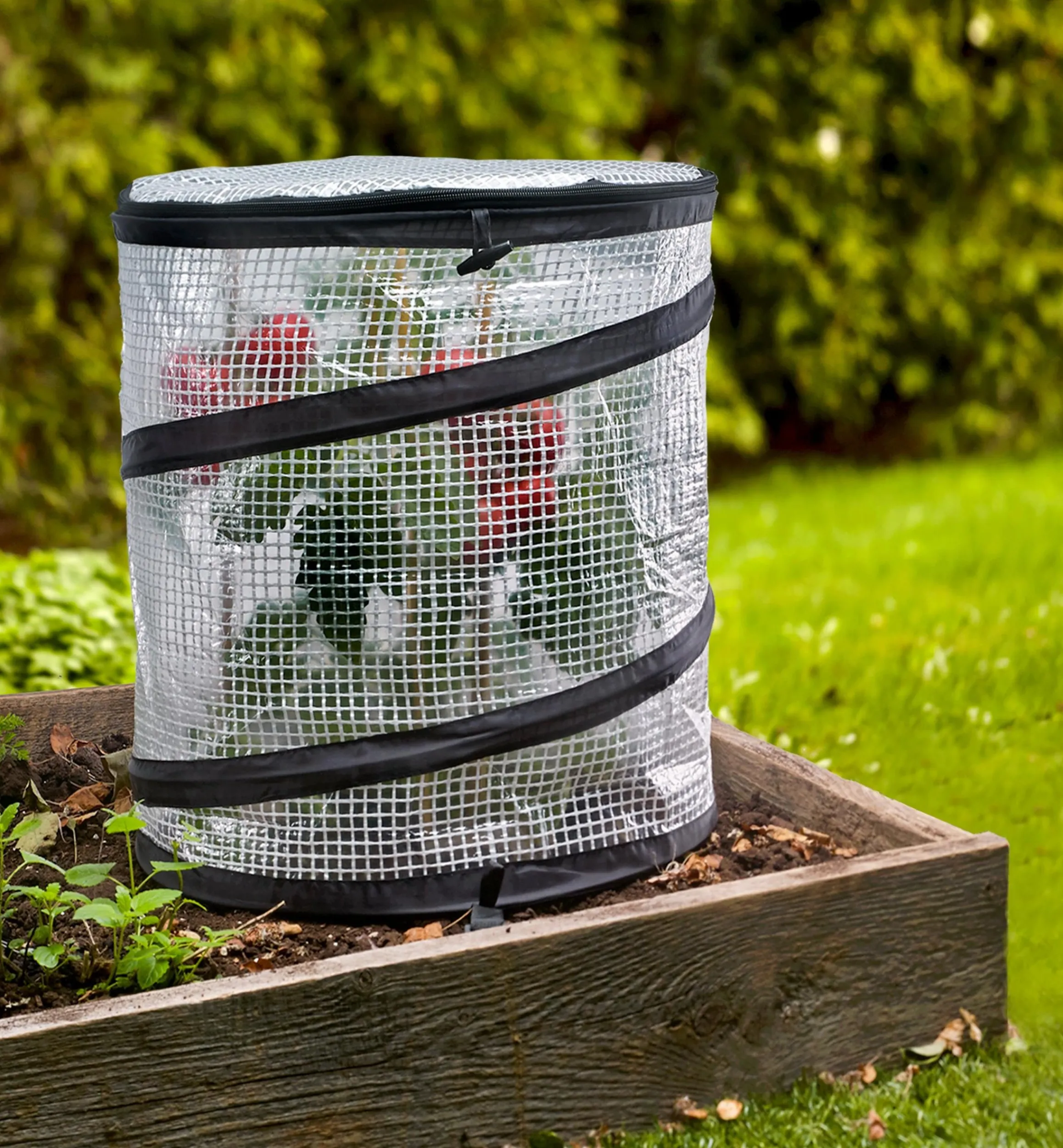 Lee Valley Plant Protection>Pop-Up Plant Cover