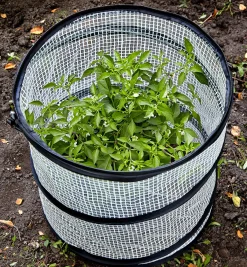 Lee Valley Plant Protection><noscript><img width=