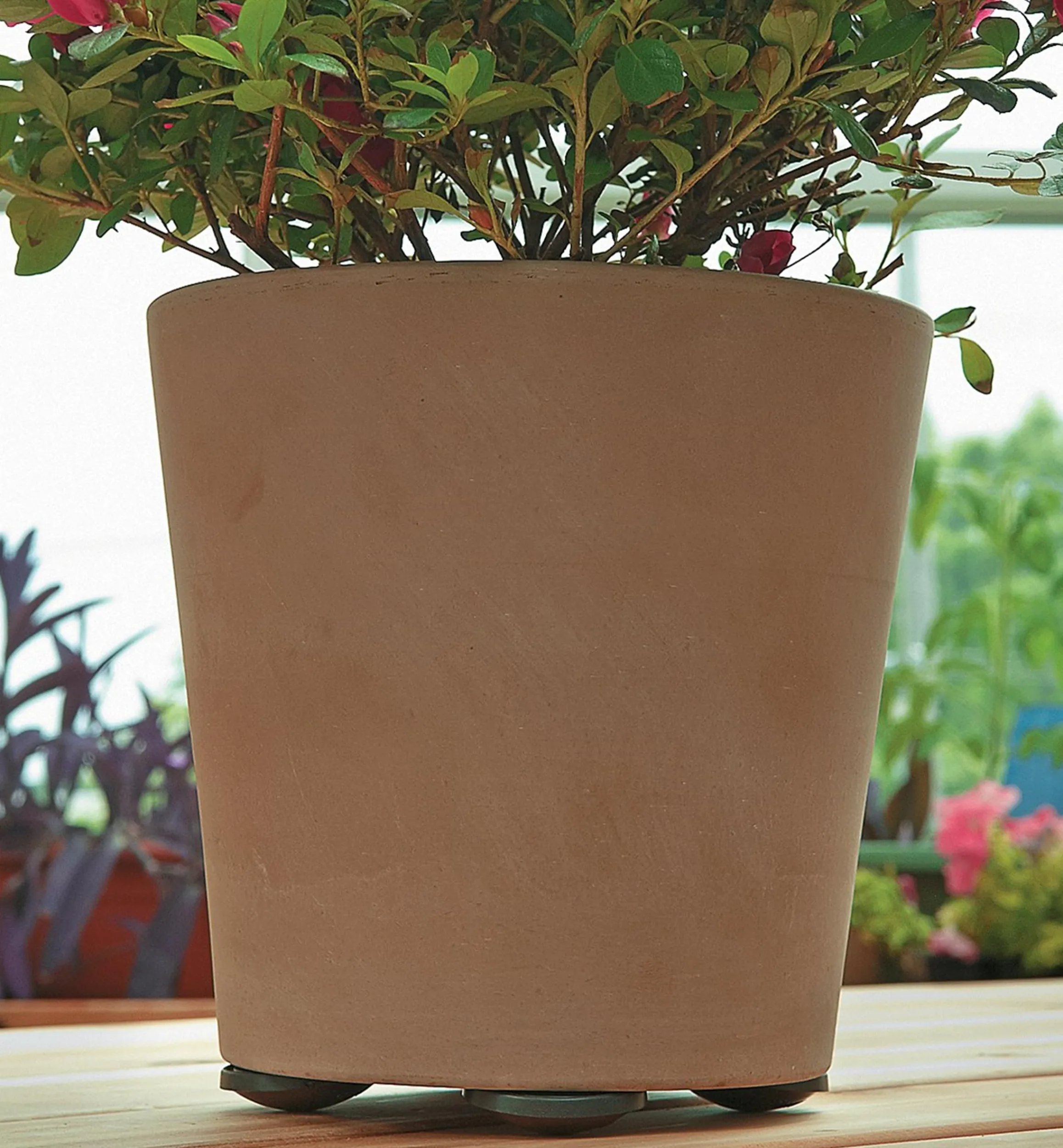 Lee Valley Indoor Gardening>Pot Pads