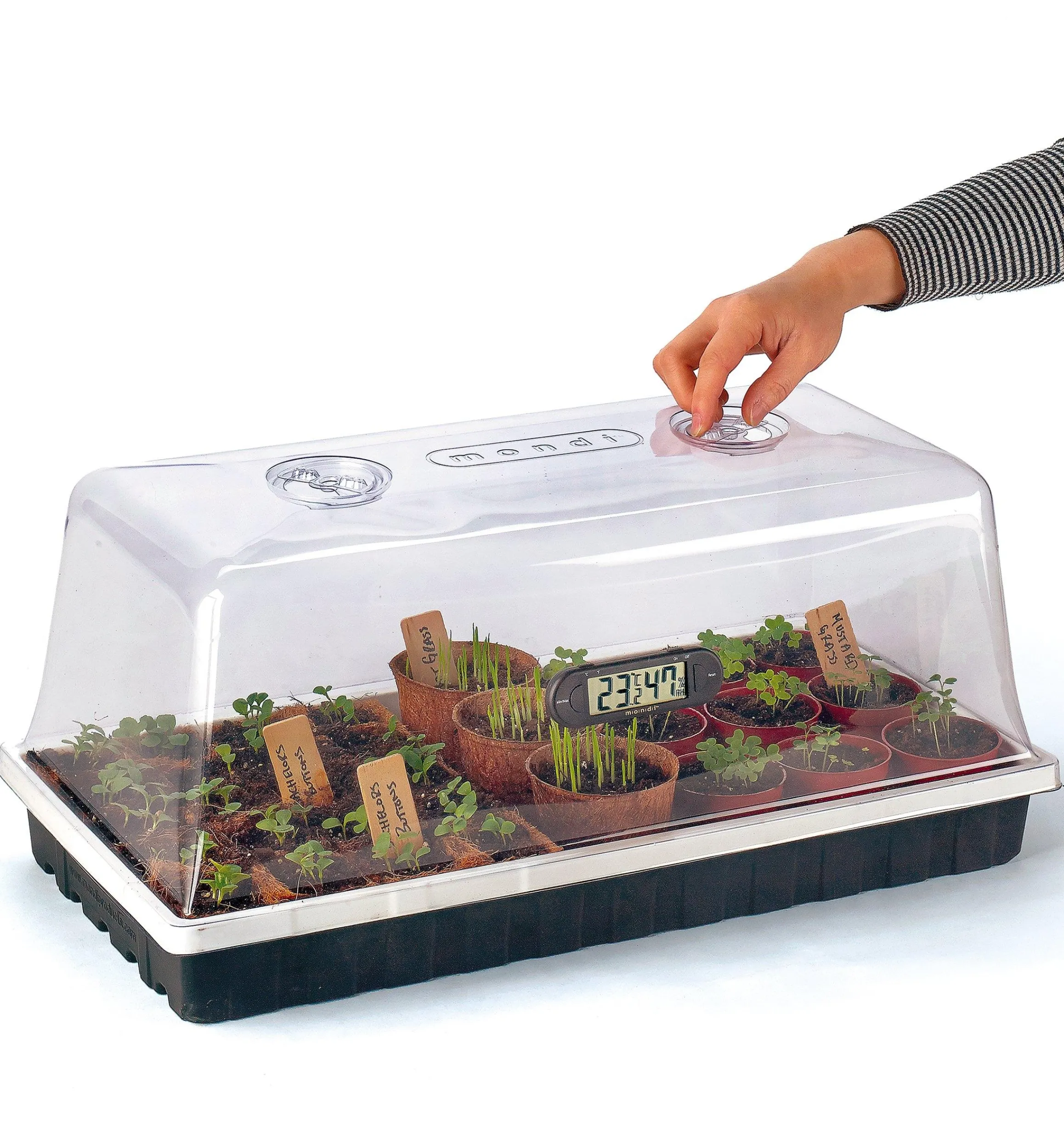 Lee Valley Seed Starting>Propagation Dome & Tray