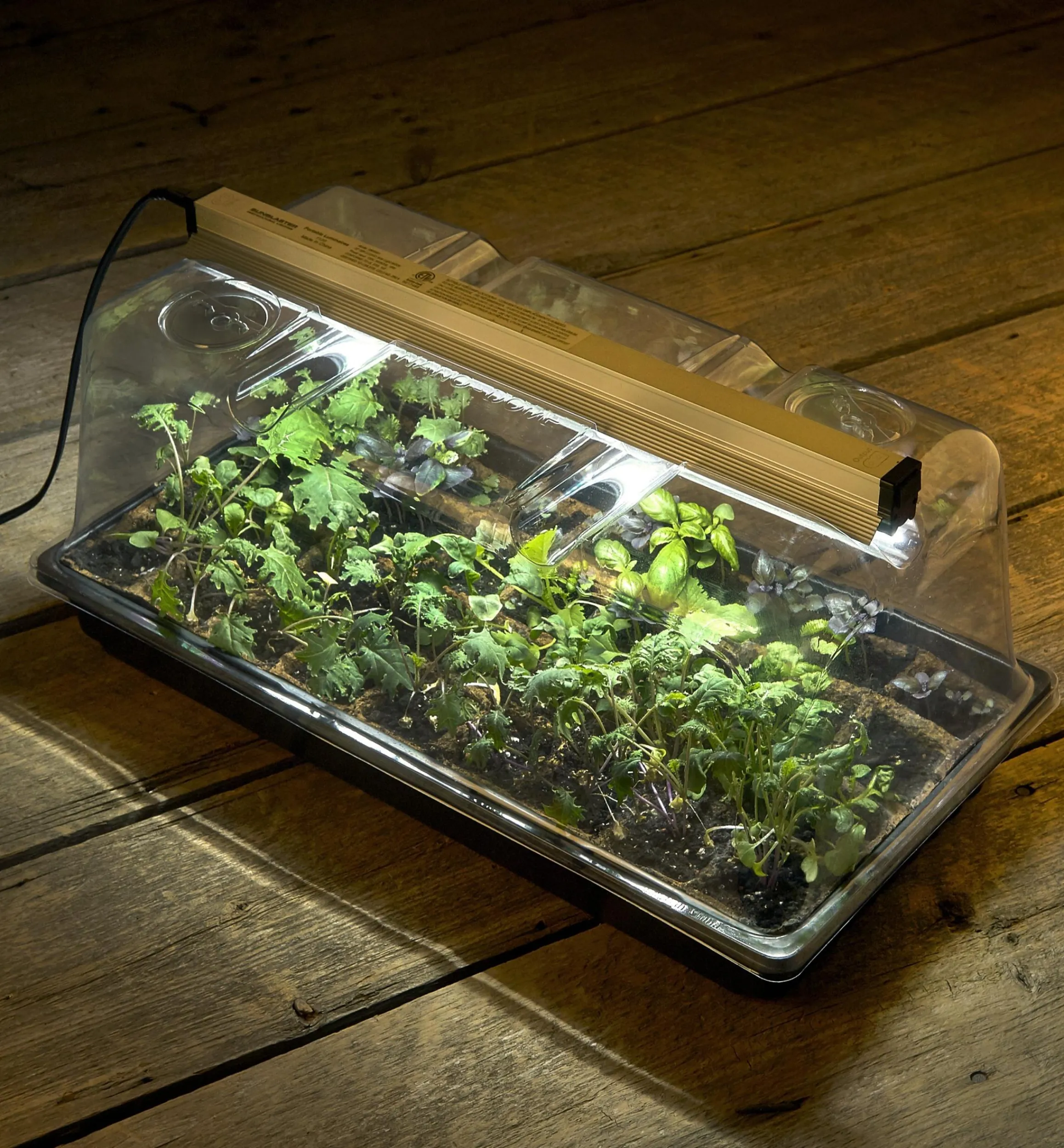 Lee Valley Seed Starting>Propagation Tray, Dome, Grow Light & Timer Set