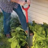Lee Valley Spades>Radius Root-Cutter Transplant Spade