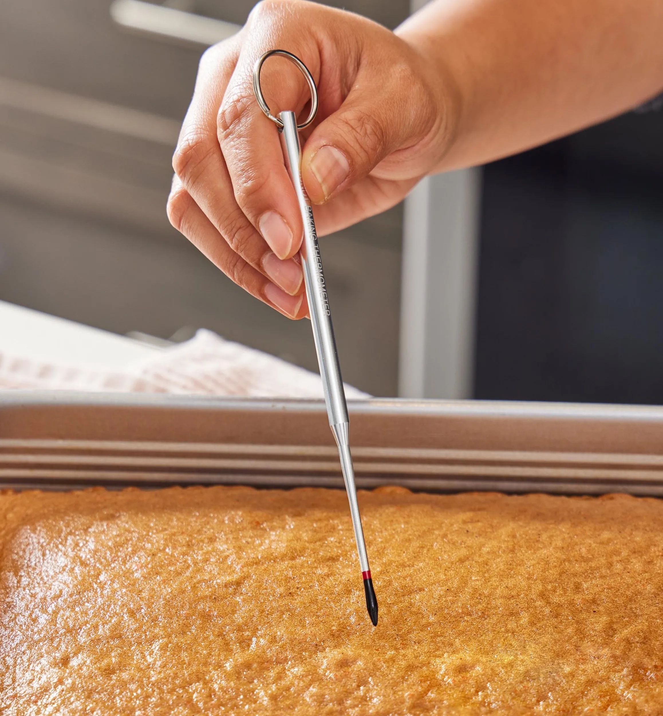 Lee Valley Bakeware>Reusable Cake Tester/Thermometer