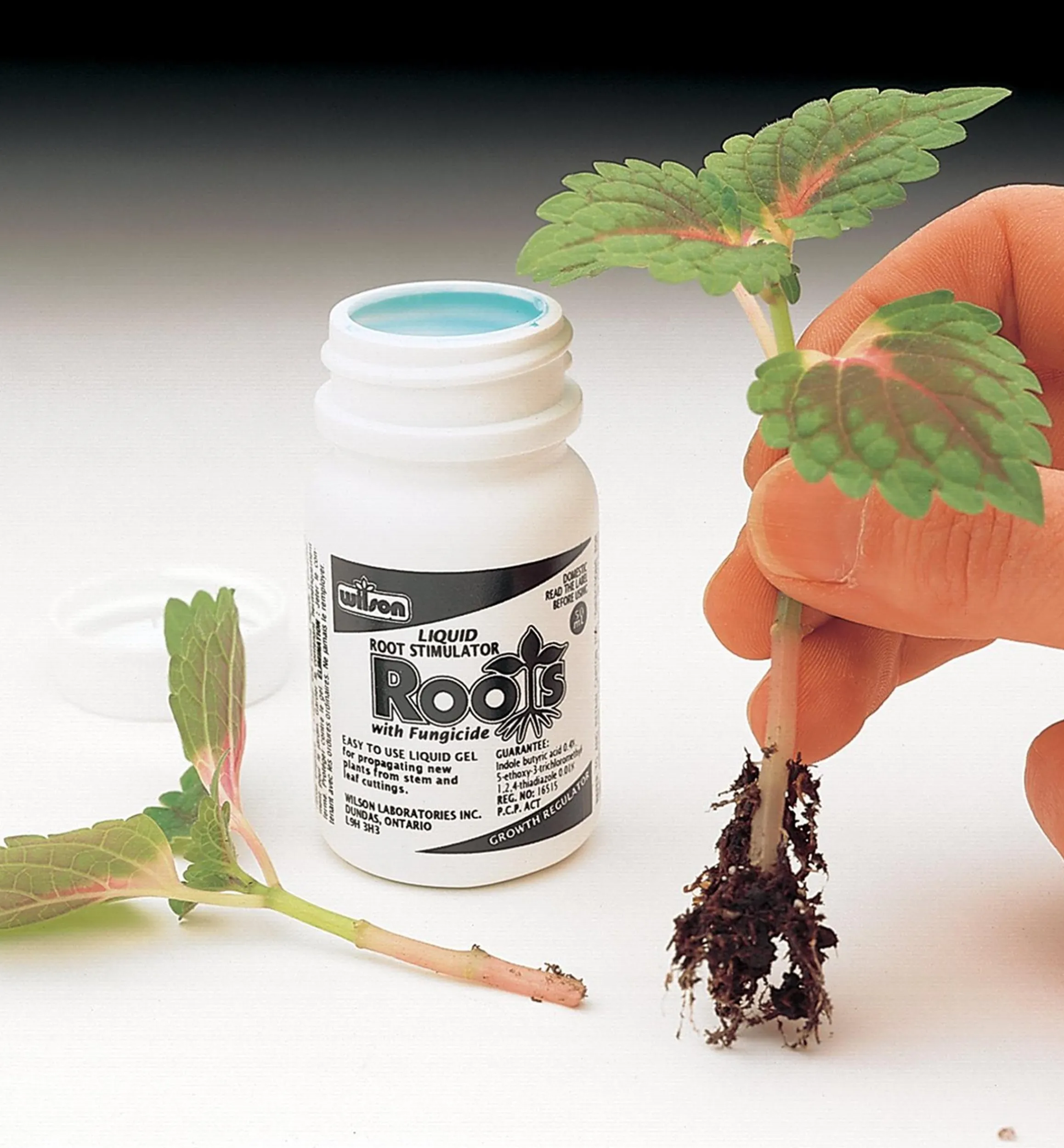 Lee Valley Propagation>Root Stimulator