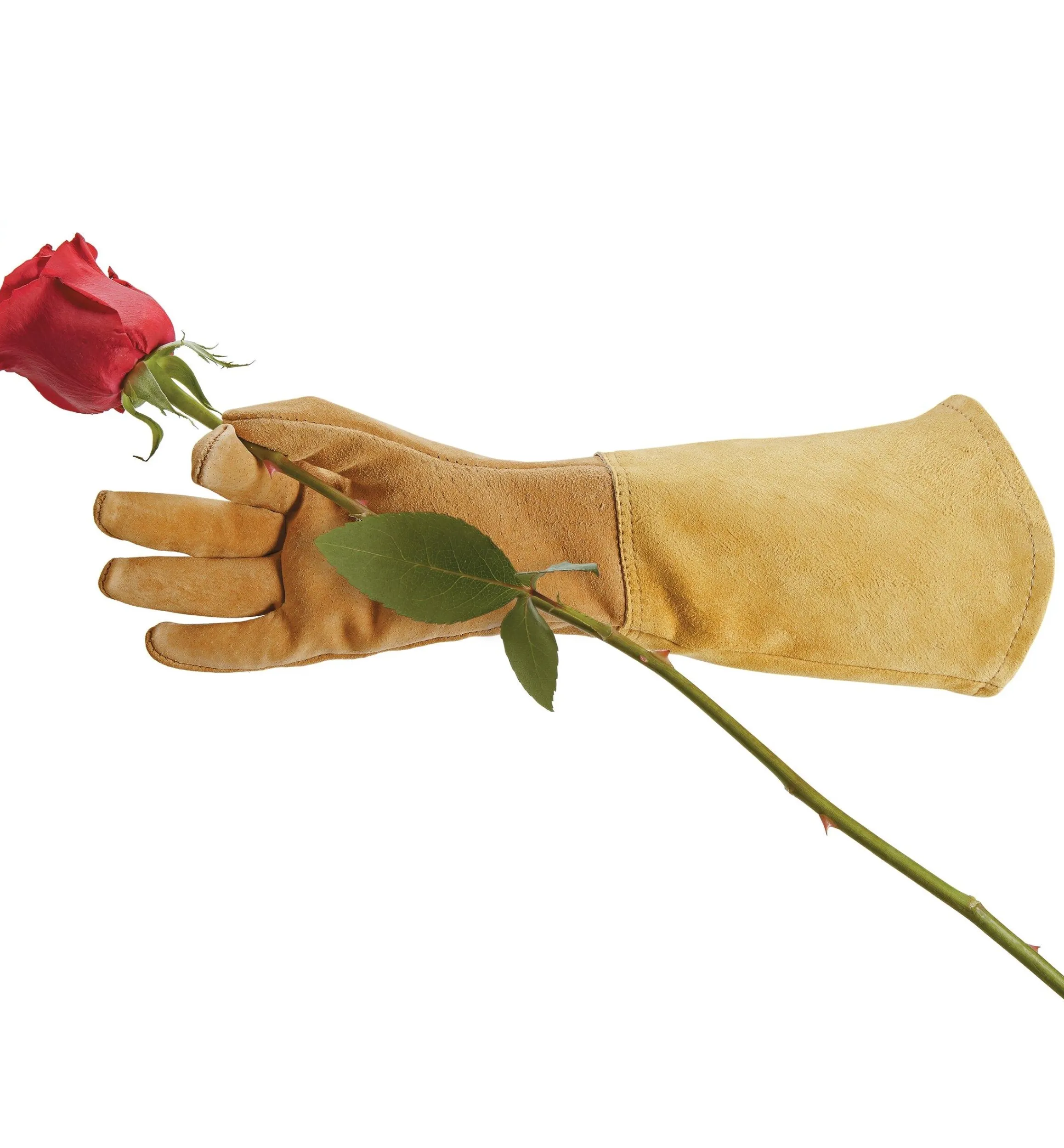Lee Valley Gloves>Rose Gloves, Women’s Sizes
