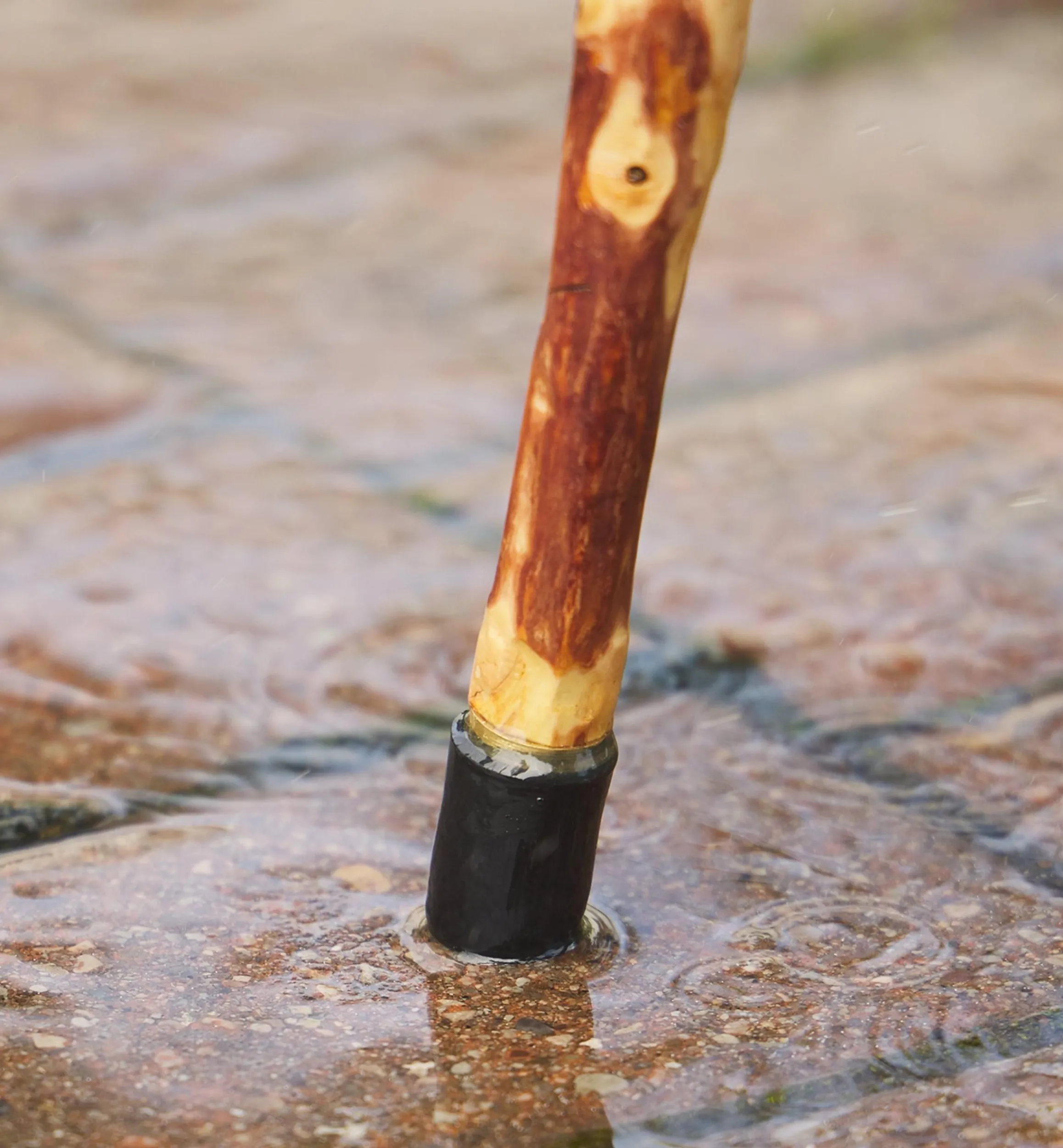 Lee Valley Supplies>Rubber/Brass Cane Tip