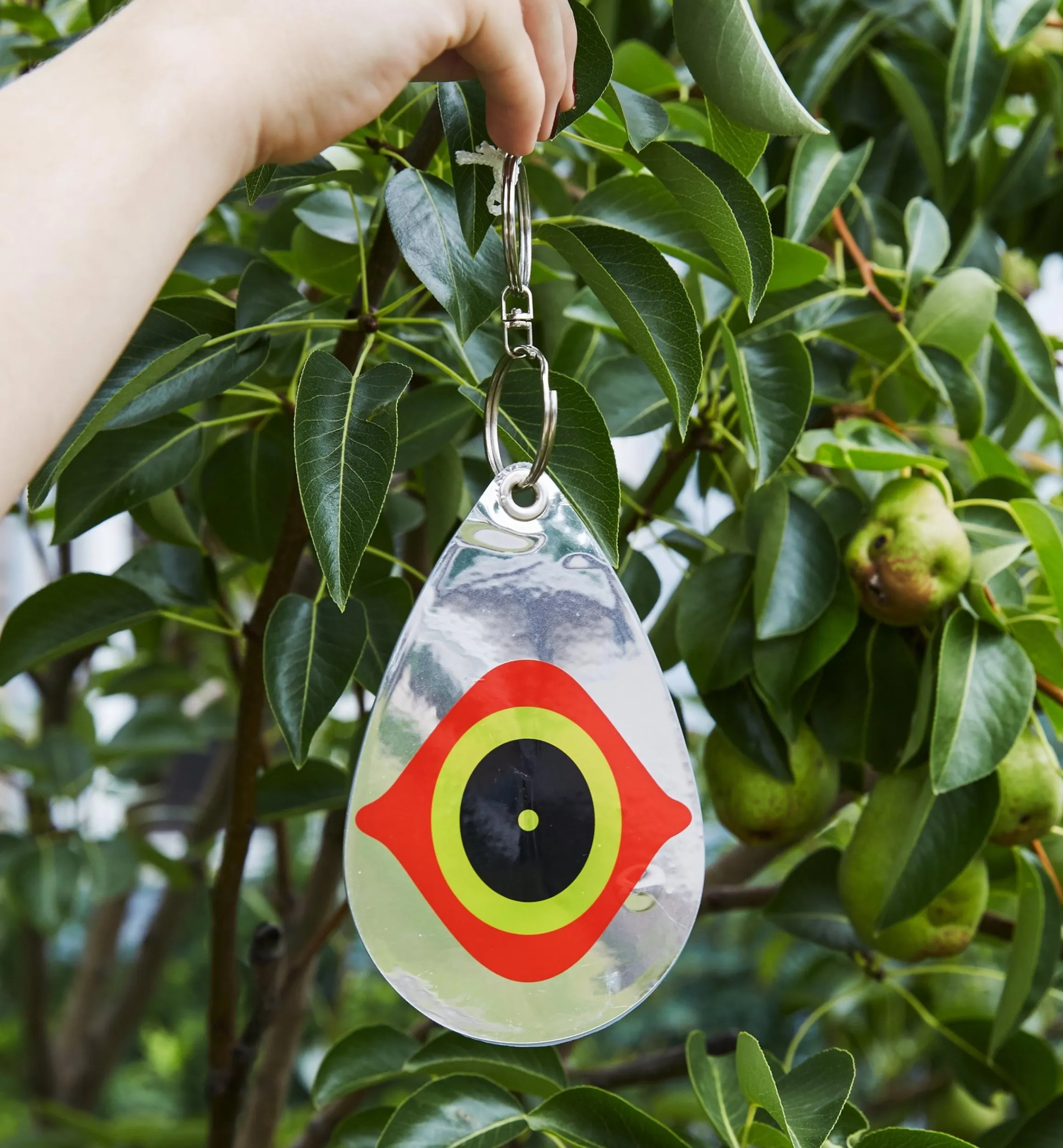 Lee Valley Pest Control>Scare Eye Bird Deterrents