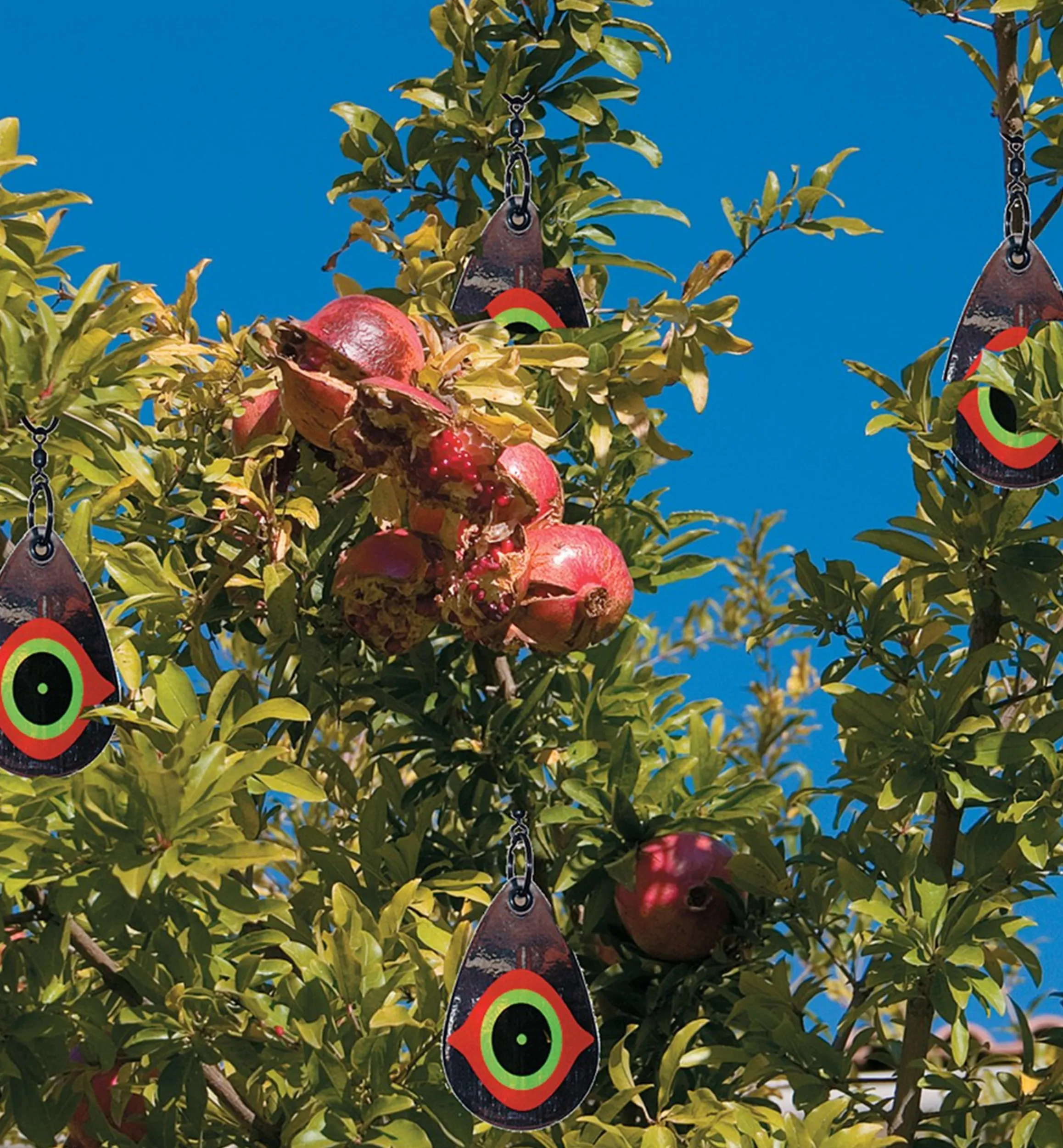 Lee Valley Pest Control>Scare Eye Bird Deterrents