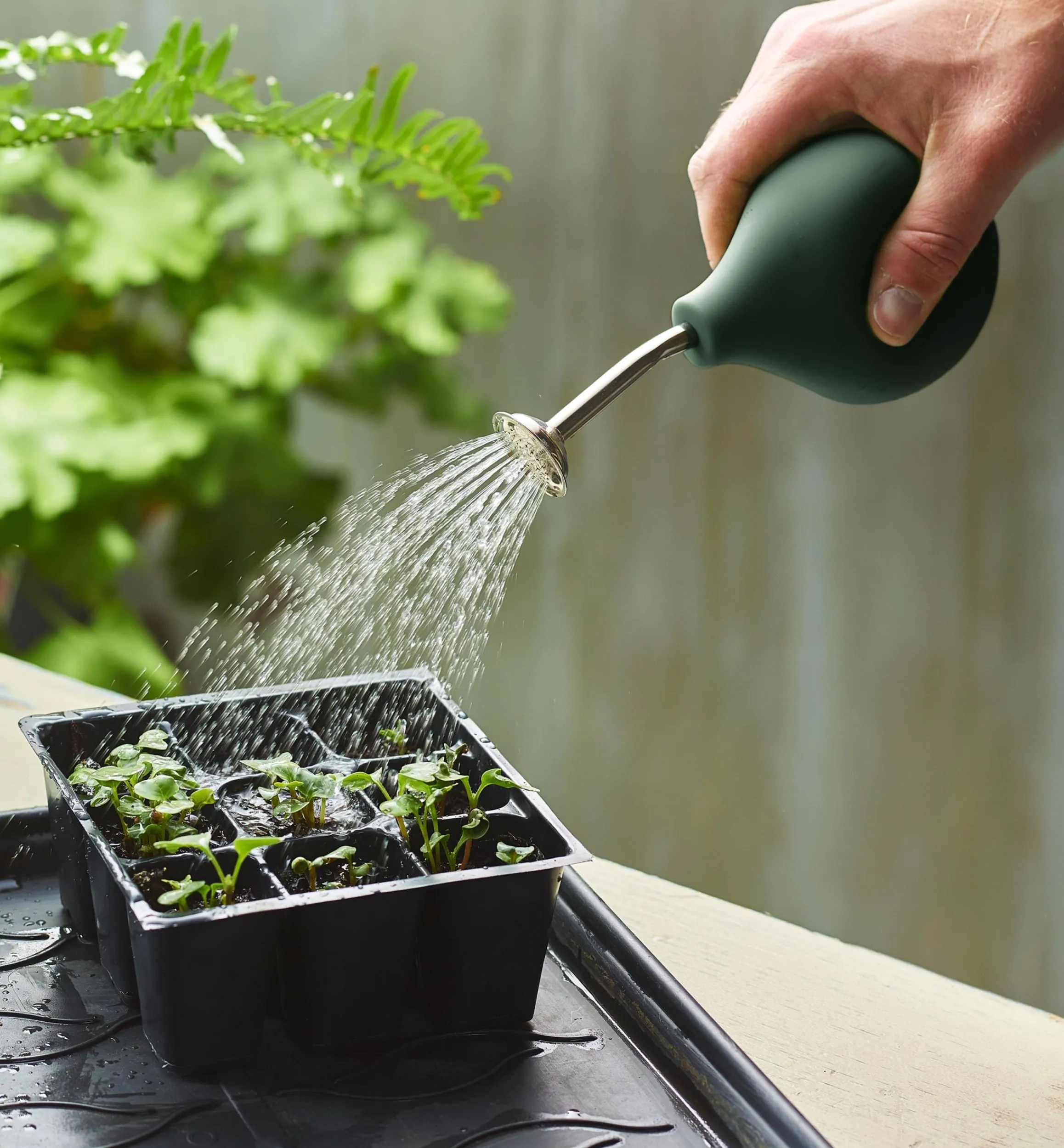 Lee Valley Indoor Gardening>Seedling Sprayer