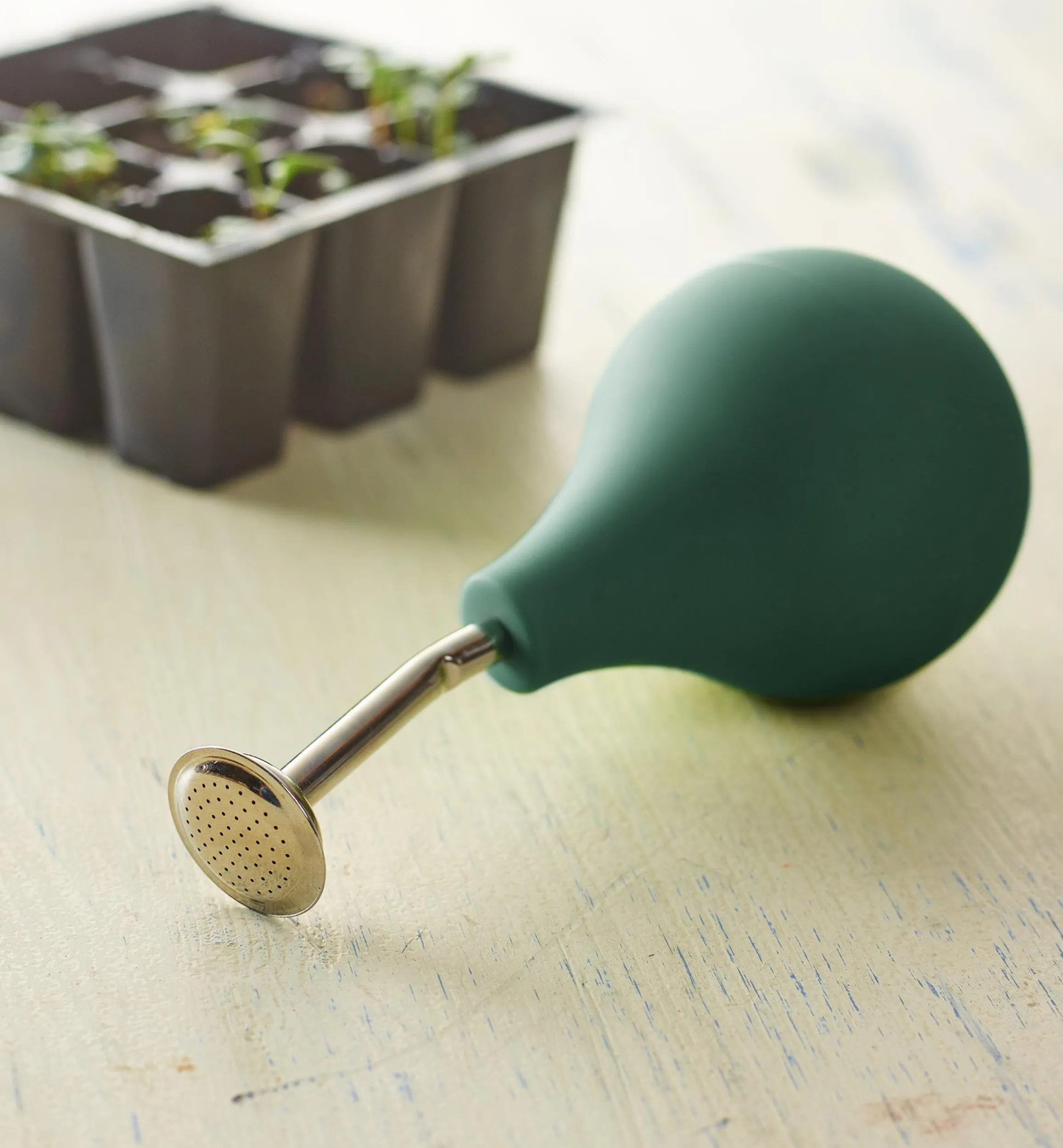 Lee Valley Indoor Gardening>Seedling Sprayer