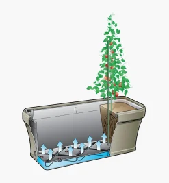 Lee Valley Container Gardening><noscript><img width=