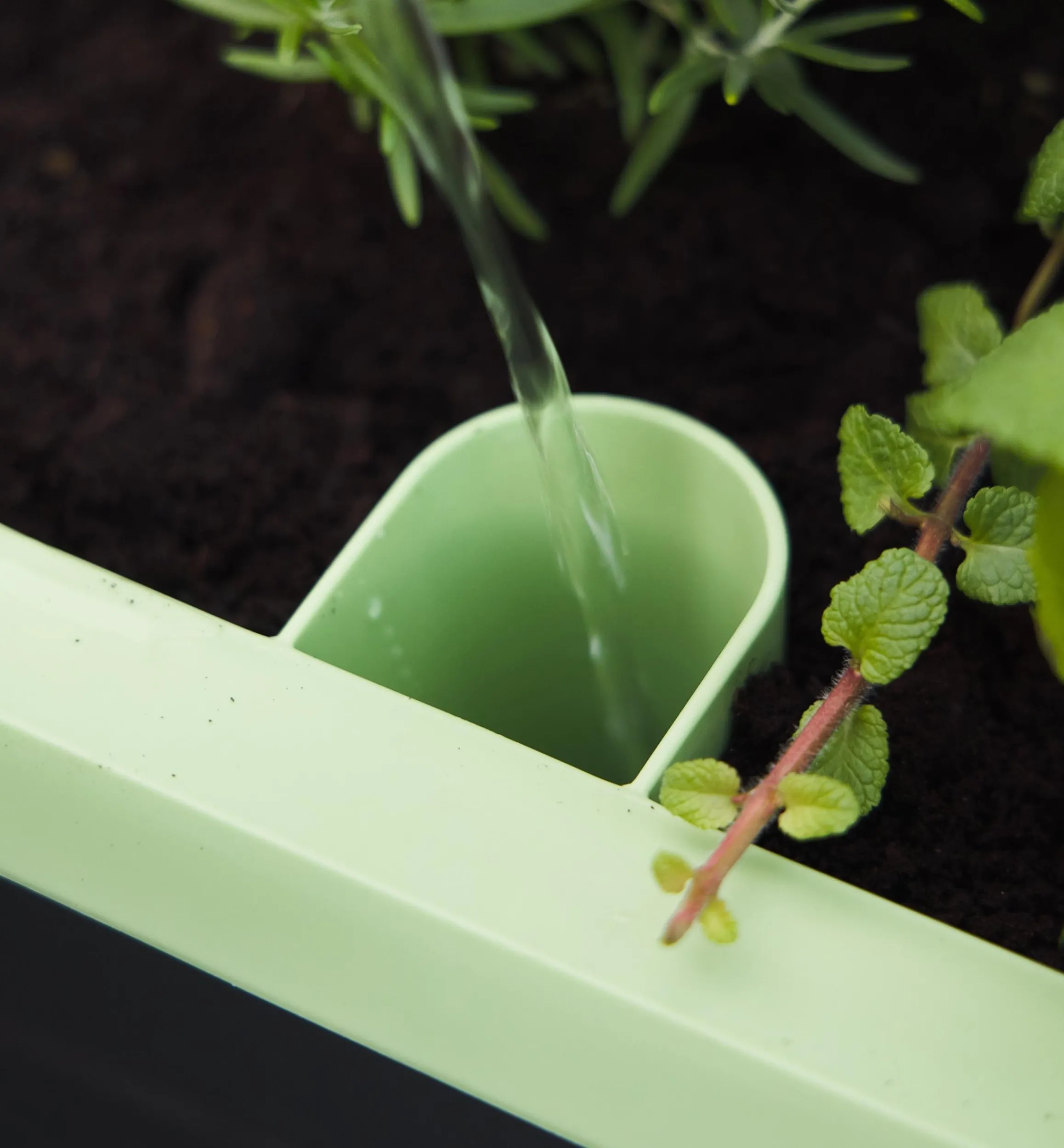 Lee Valley Container Gardening>Self-Watering Raised Planter