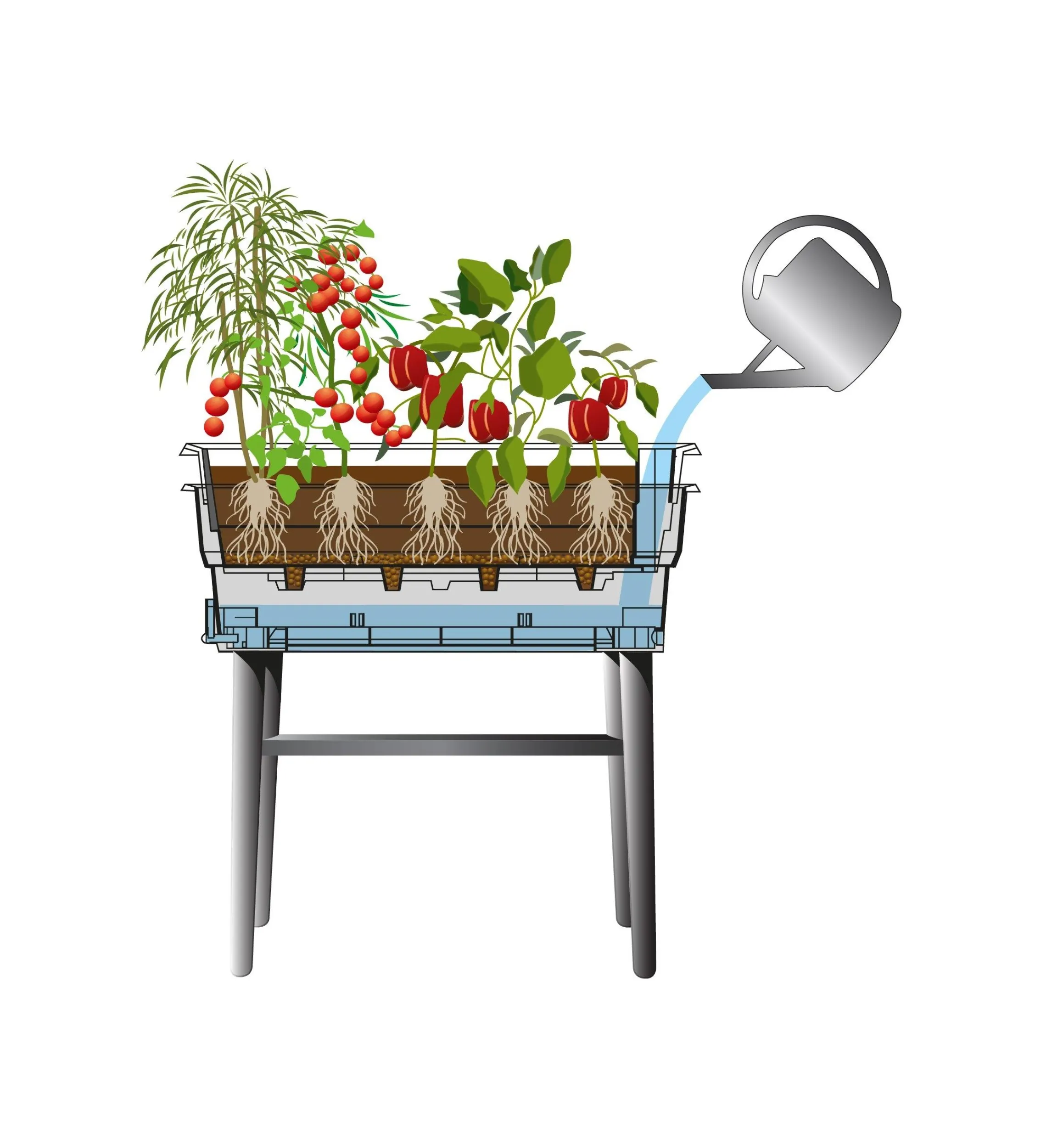 Lee Valley Container Gardening>Self-Watering Raised Planter