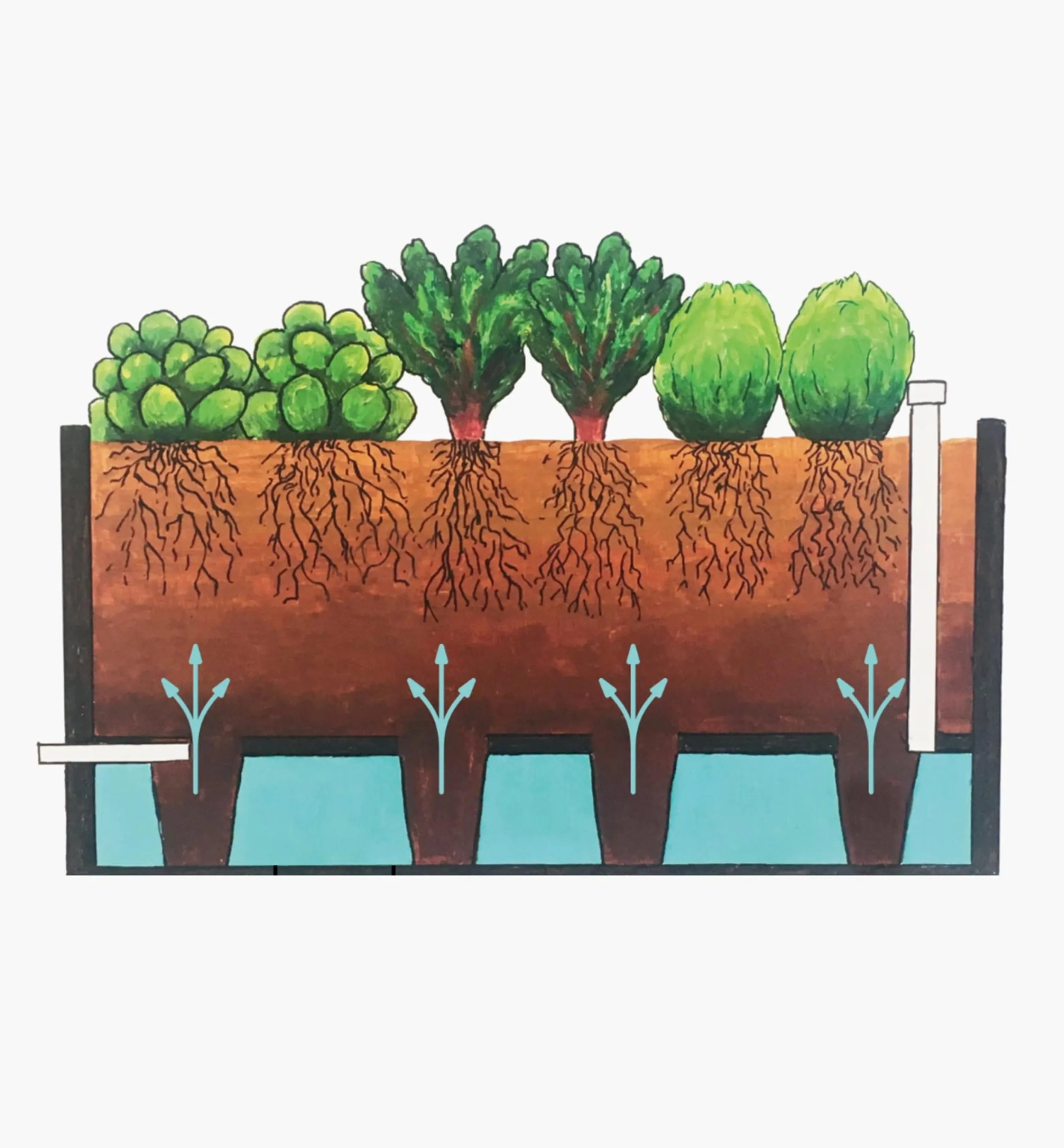 Lee Valley Container Gardening>Self-Watering Raised-Bed Hardware