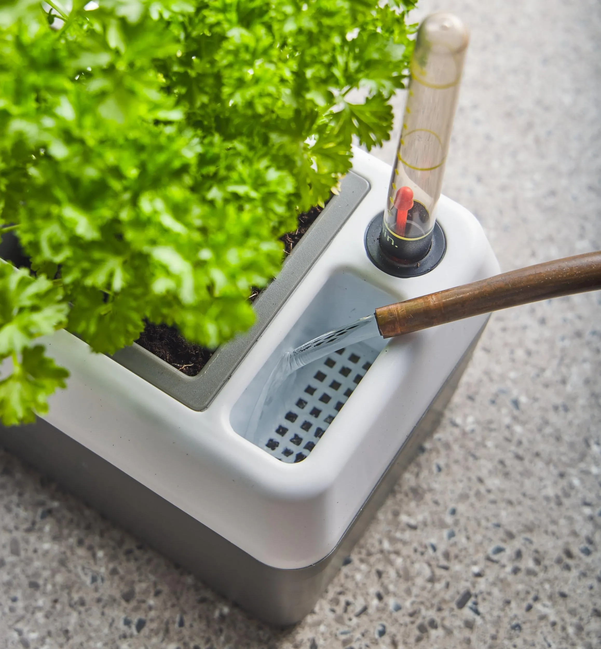 Lee Valley Indoor Gardening>Self-Watering Windowsill Planter