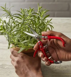 Lee Valley Garden Care>Set Of 2 Mini Garden Shears