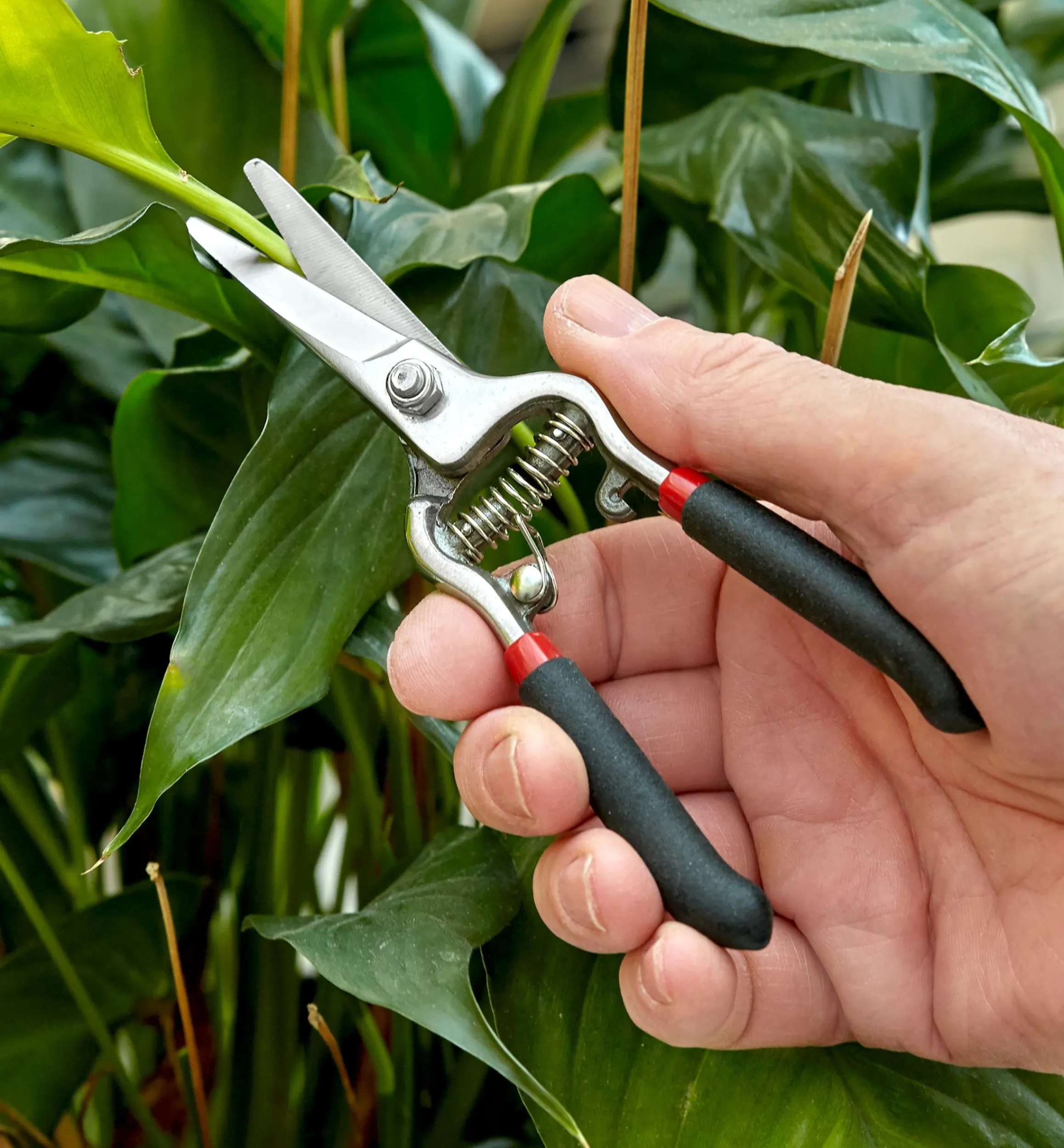 Lee Valley Pruners>Set Of 3 Stainless-Steel Pruning Tools