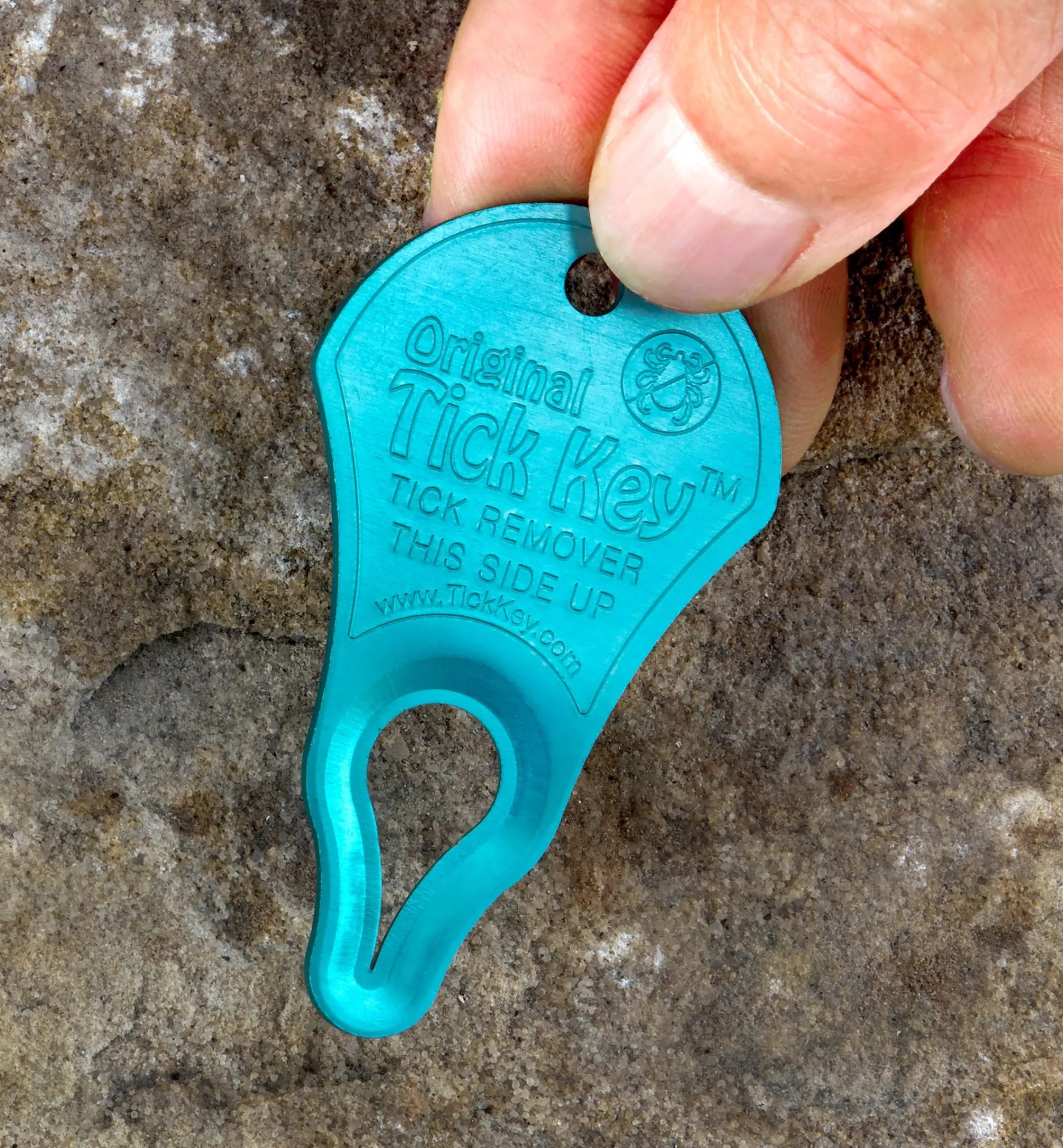 Lee Valley Pest Control>Set Of 3 Tick Key Tick Removers