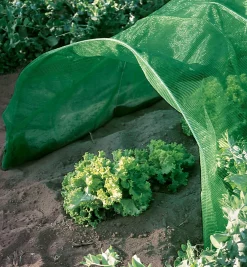 Lee Valley Plant Protection><noscript><img width=