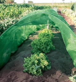 Lee Valley Plant Protection><noscript><img width=