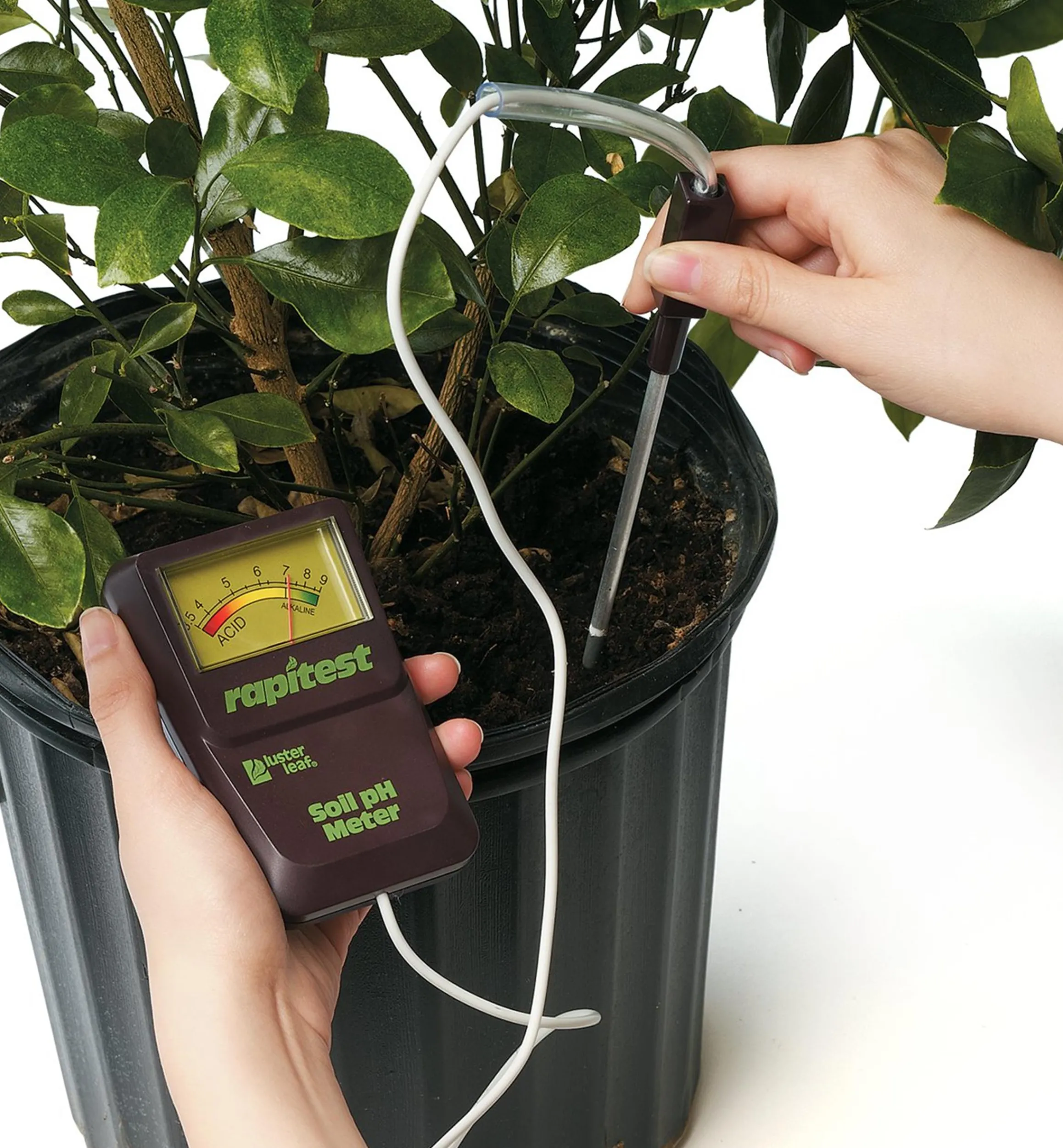 Lee Valley Weather Measurement>Soil PH Meter