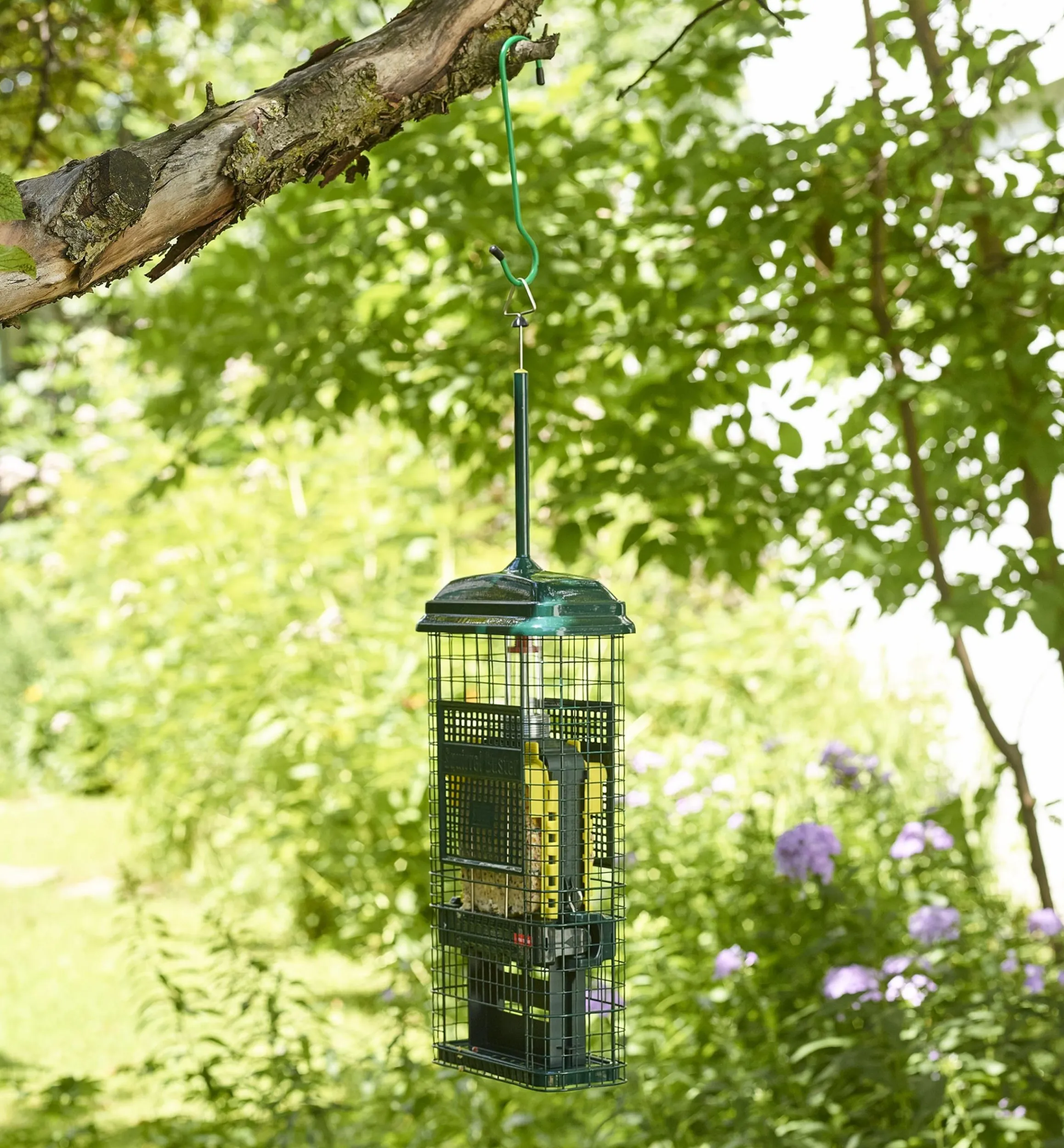 Lee Valley Birding>Squirrel Buster Suet Feeder