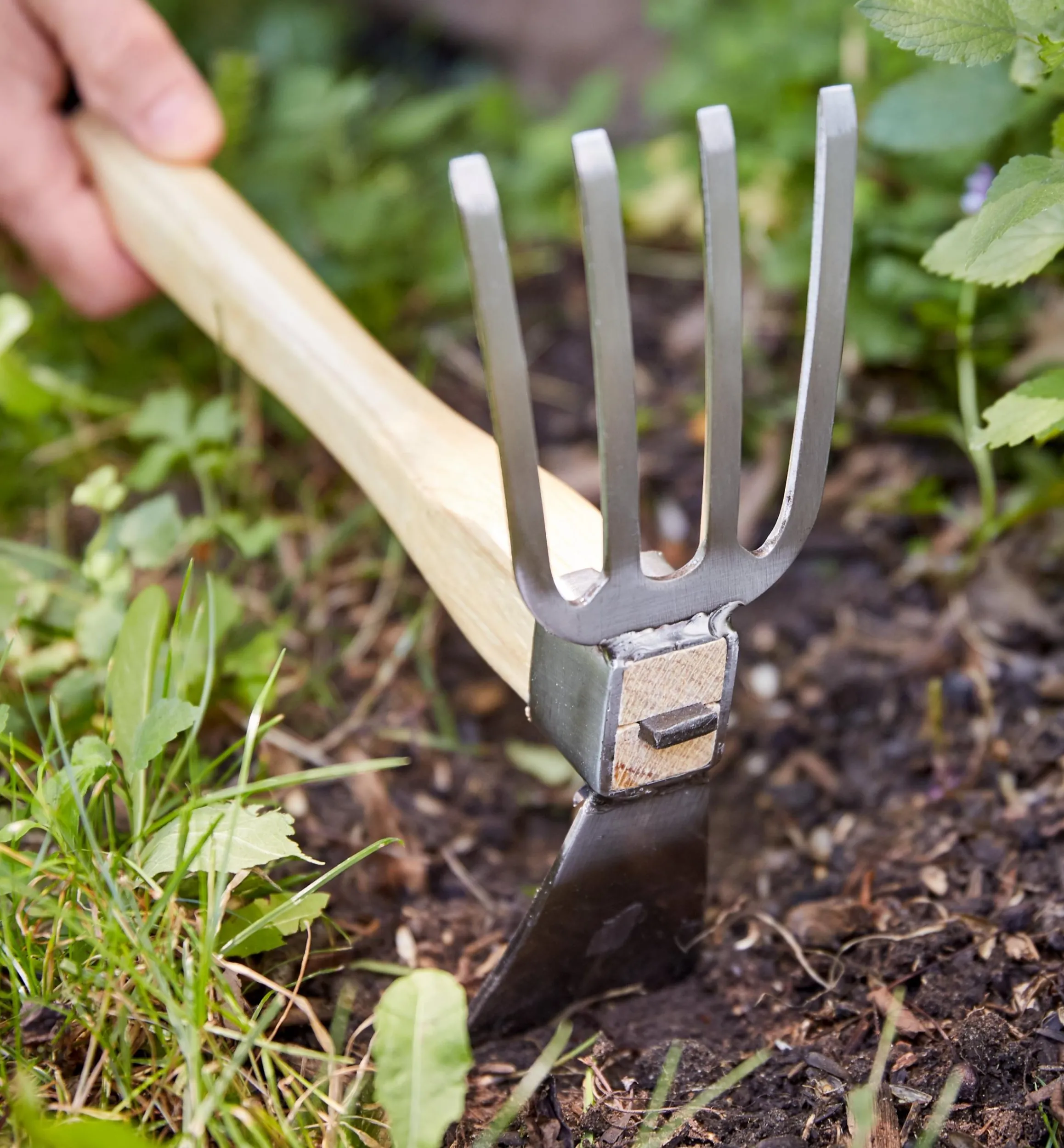 Lee Valley Weeding>Stainless-Steel Cultivator & Pick Mattocks Set