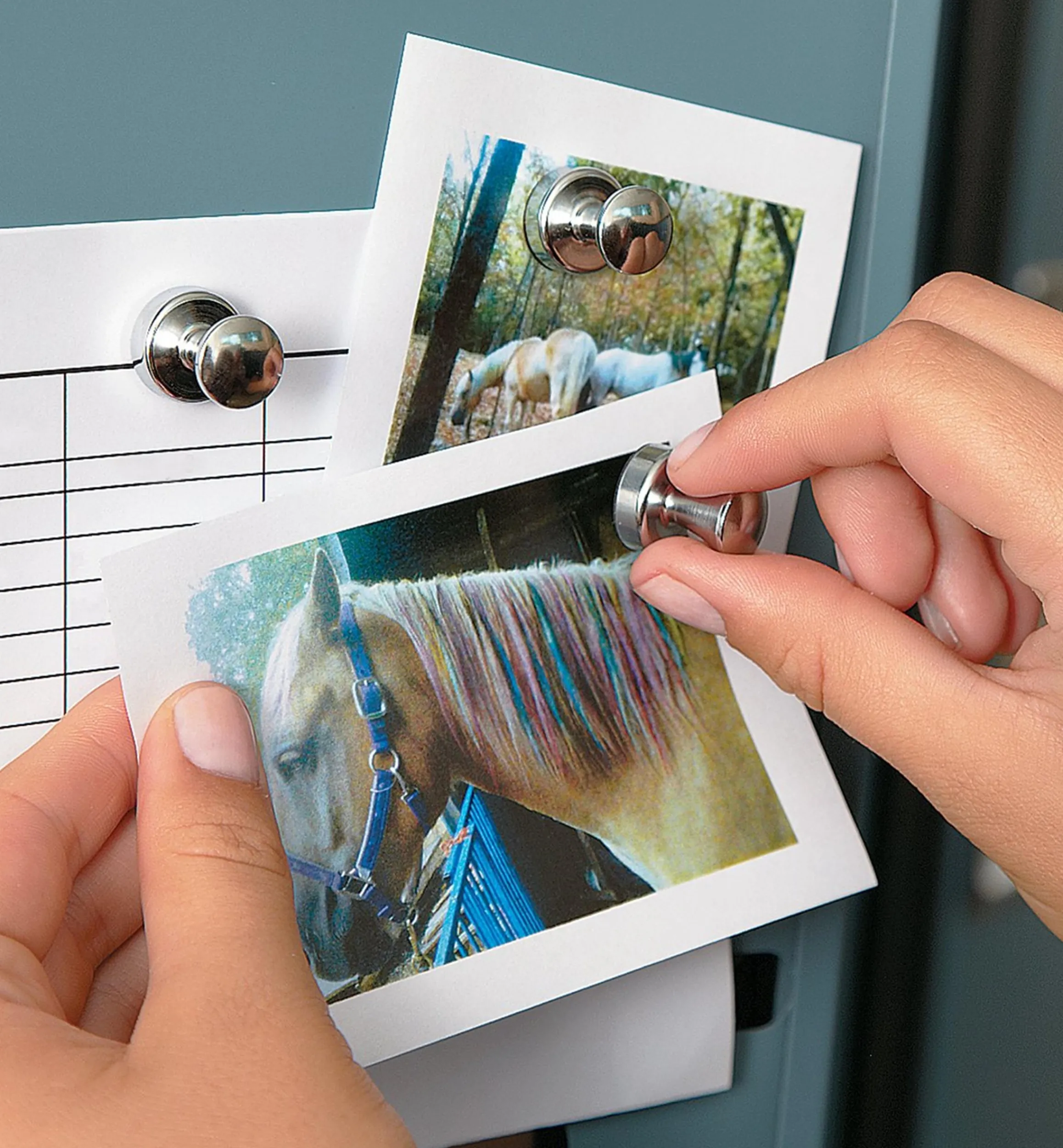 Lee Valley Magnets|Magnets>Super Magnets For The Fridge