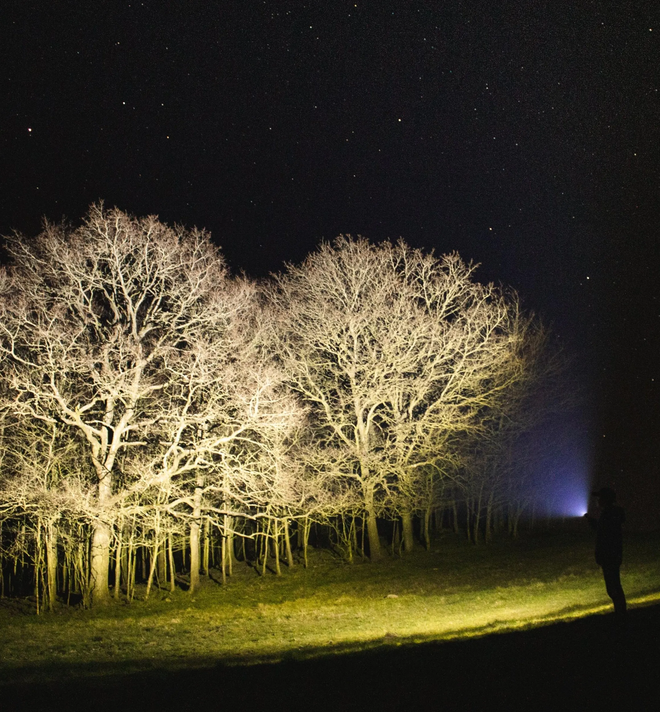 Lee Valley Lighting>Suprabeam Q7XRS Flashlight