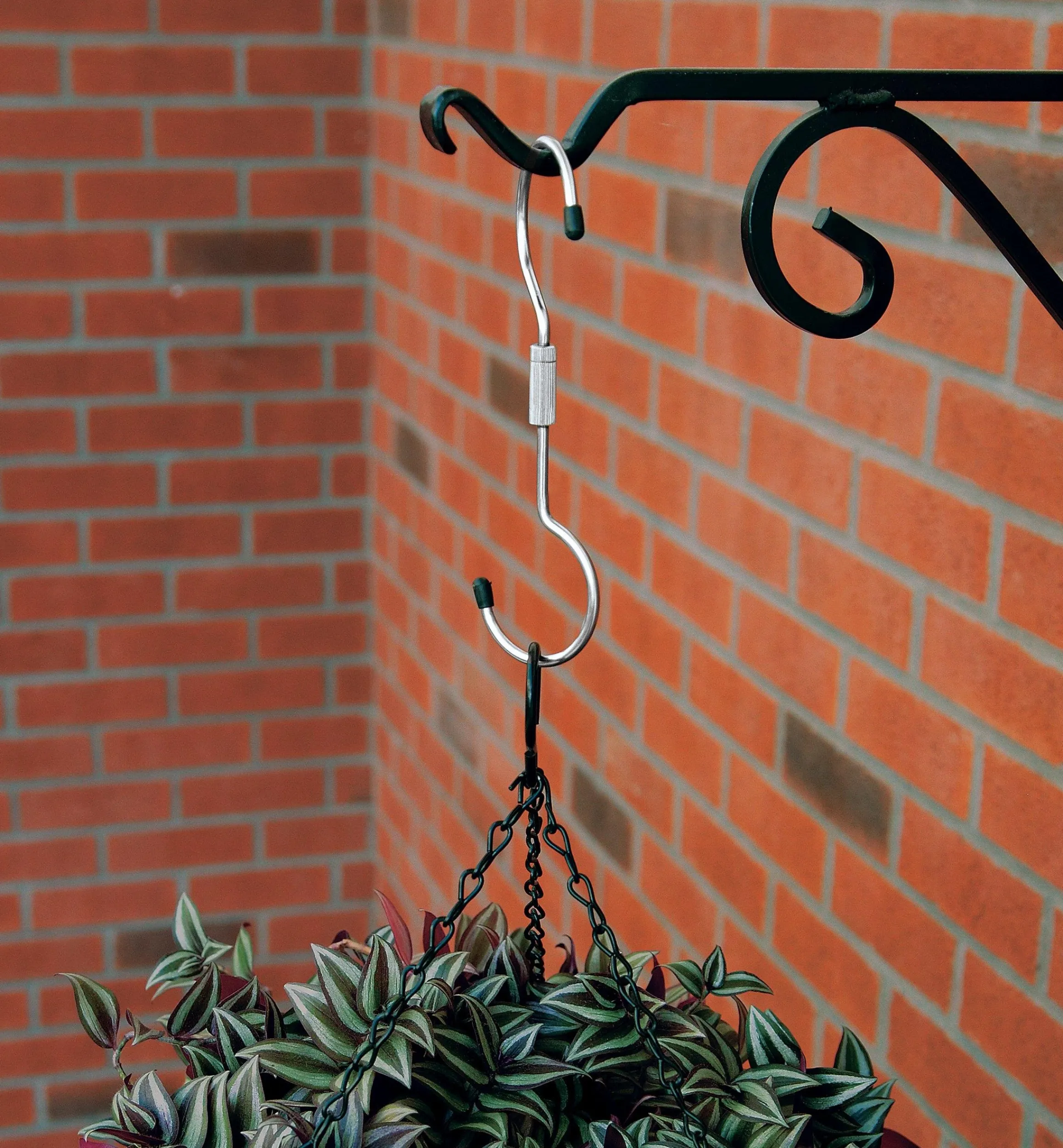 Lee Valley Indoor Gardening>Swivel Hooks