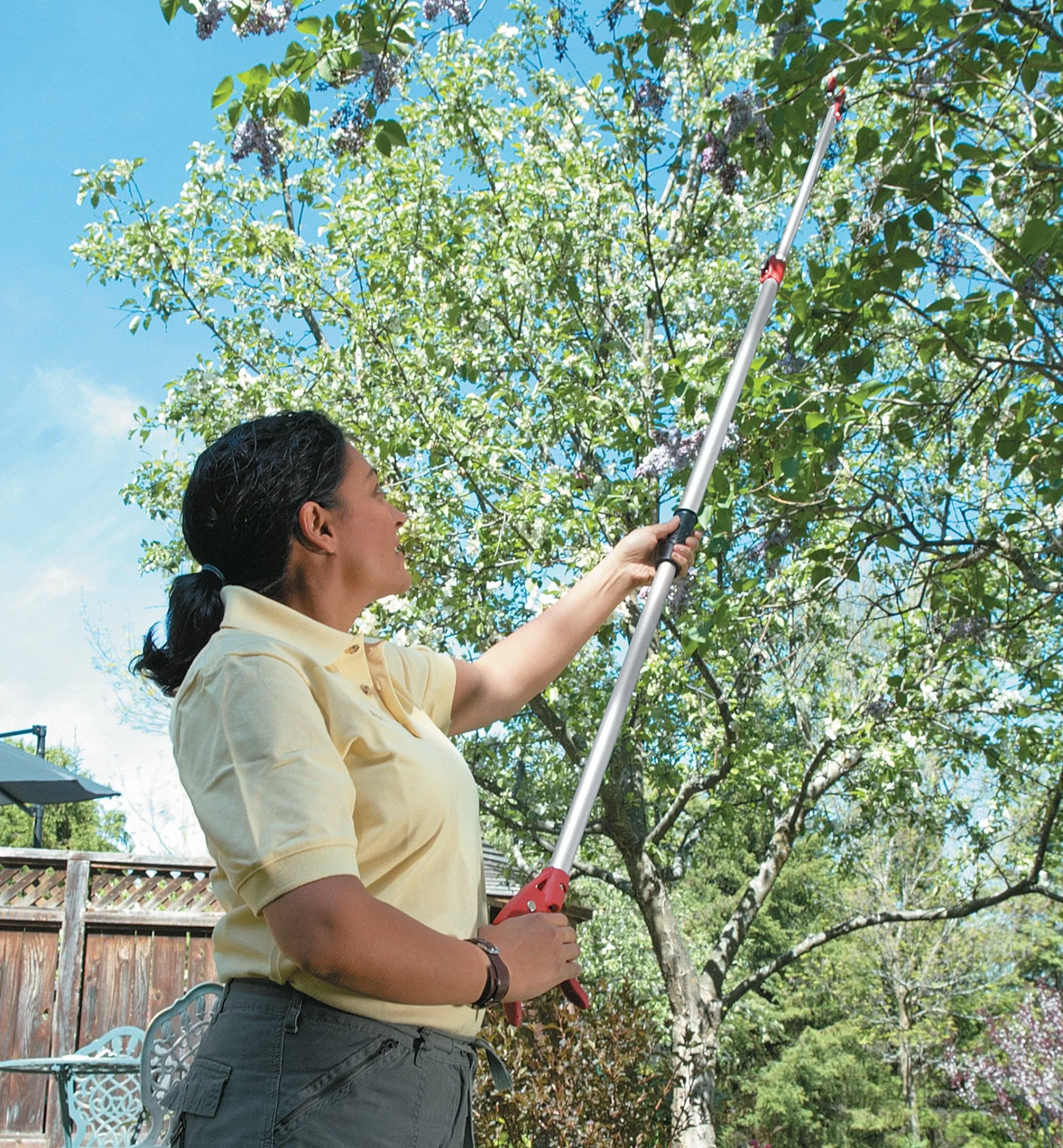 Lee Valley Pruners>Telescoping Long-Arm Pruner