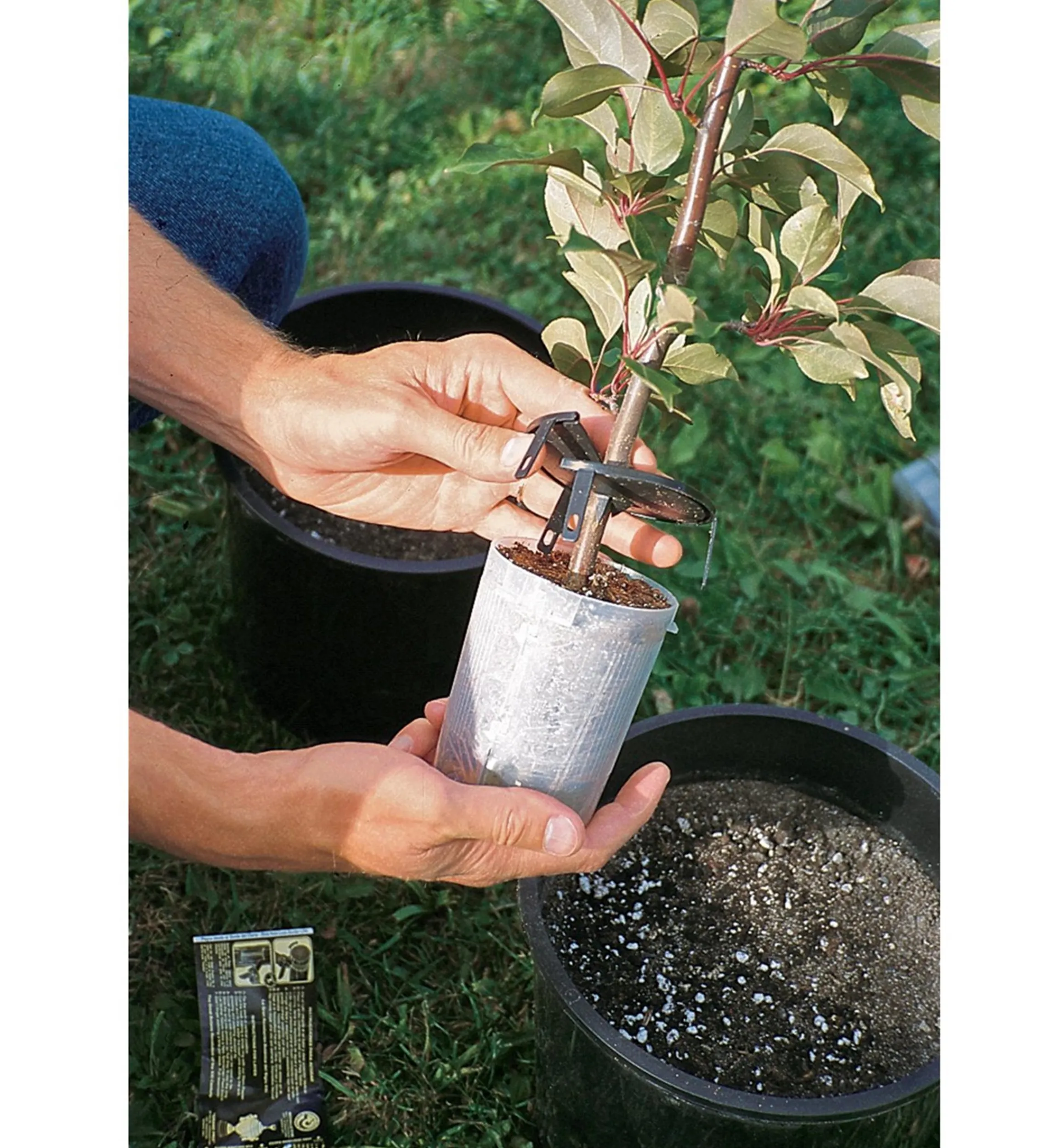 Lee Valley Propagation>The Rooter Pot