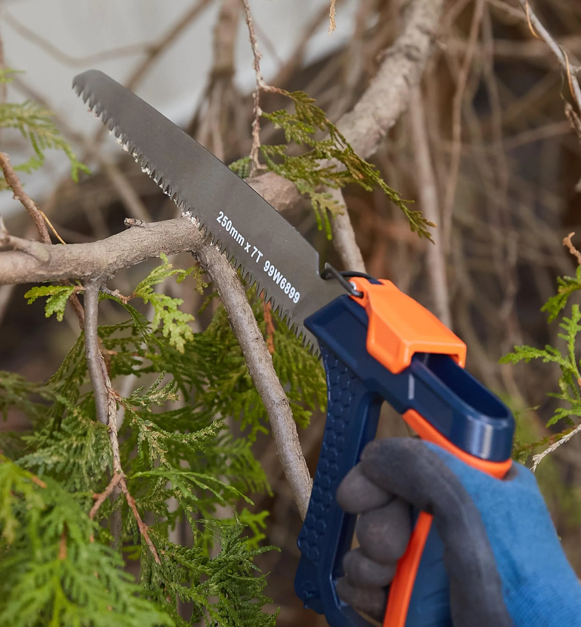 Lee Valley Saws>The Shed Saw