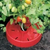 Lee Valley Weeding>Tomato Craters