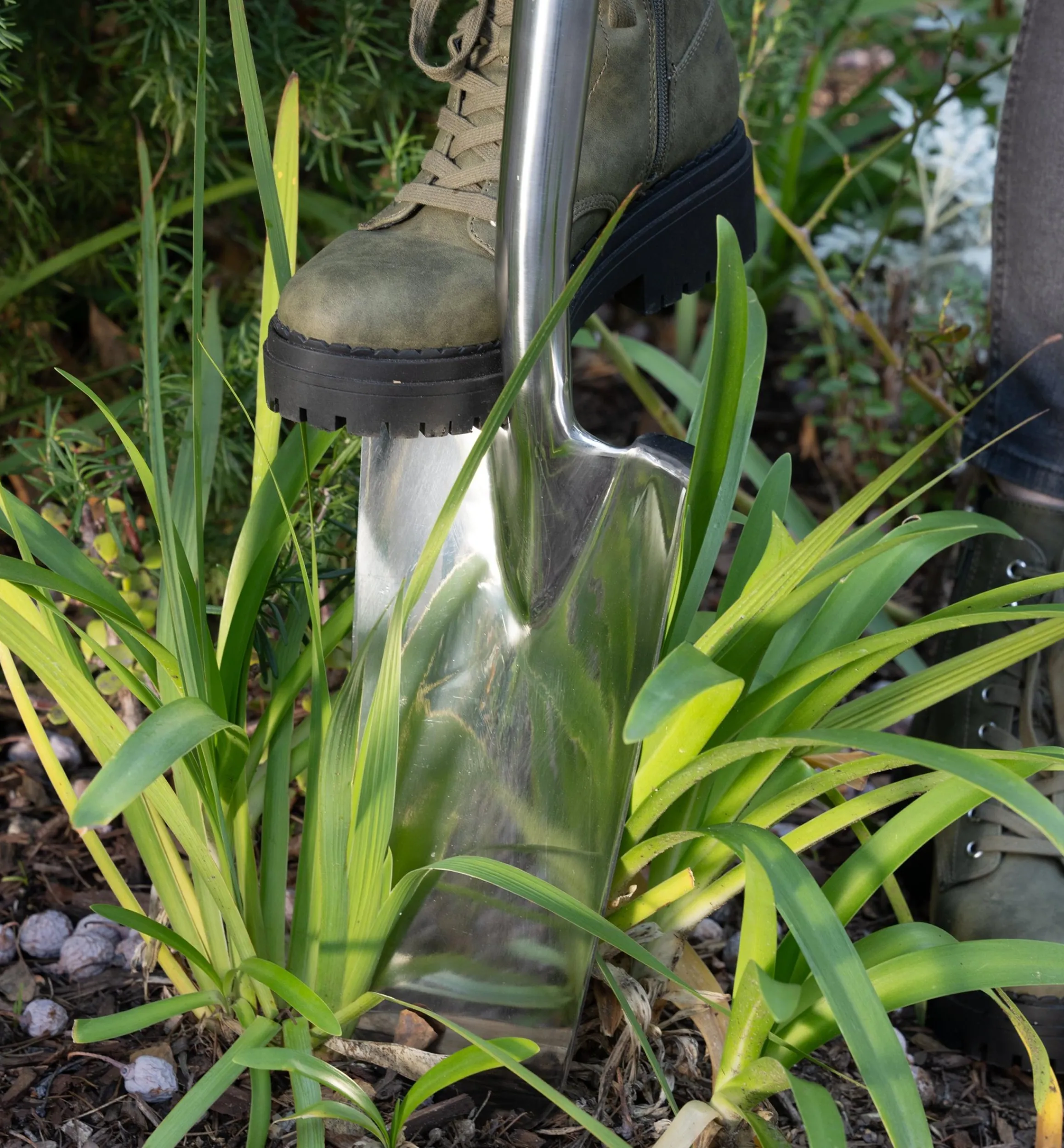 Lee Valley Spades>Transplant Spade