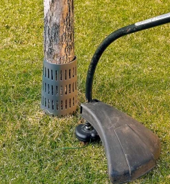 Lee Valley Plant Protection><noscript><img width=