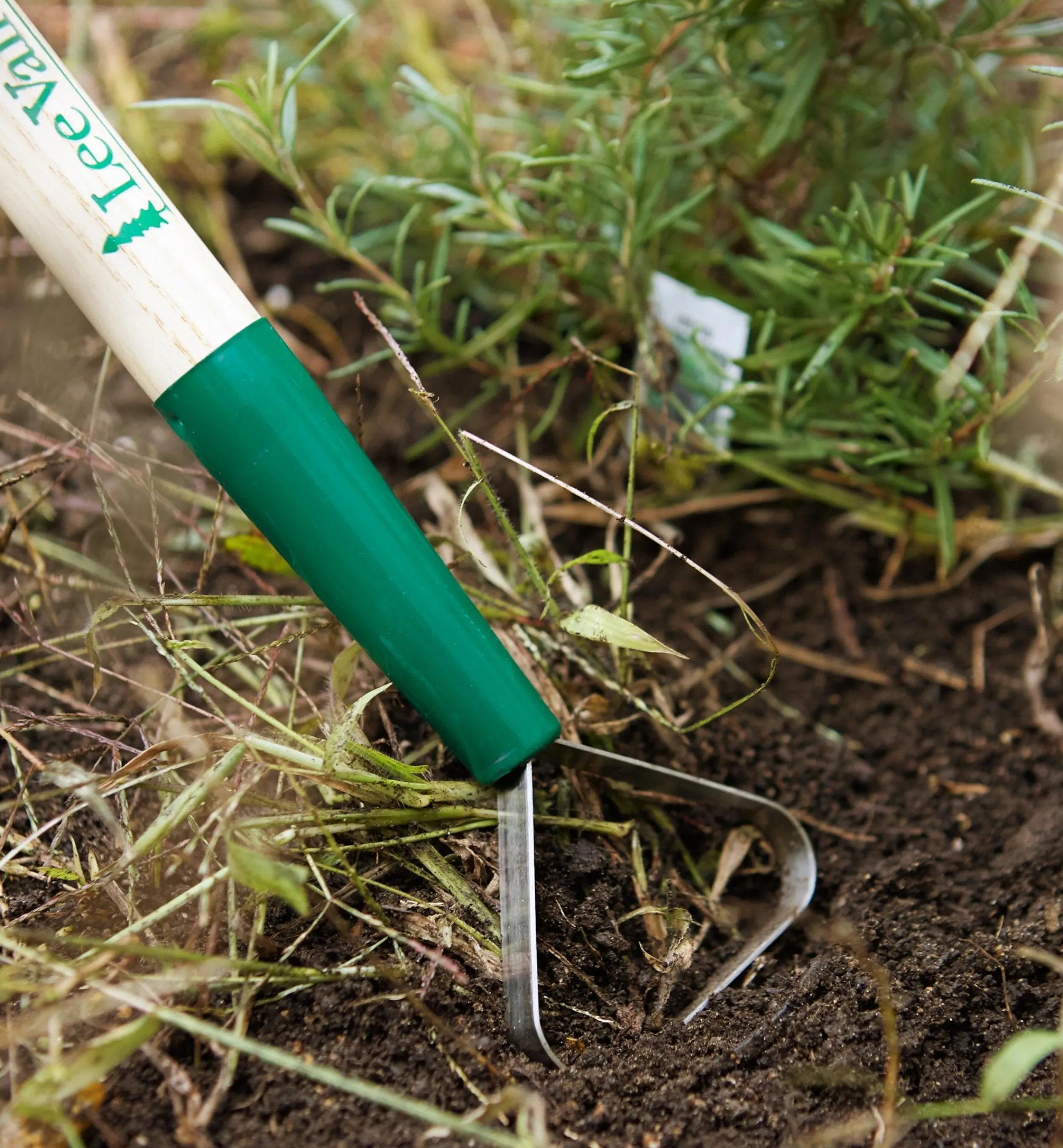Lee Valley Weeding>Ultimate Weeding Kit