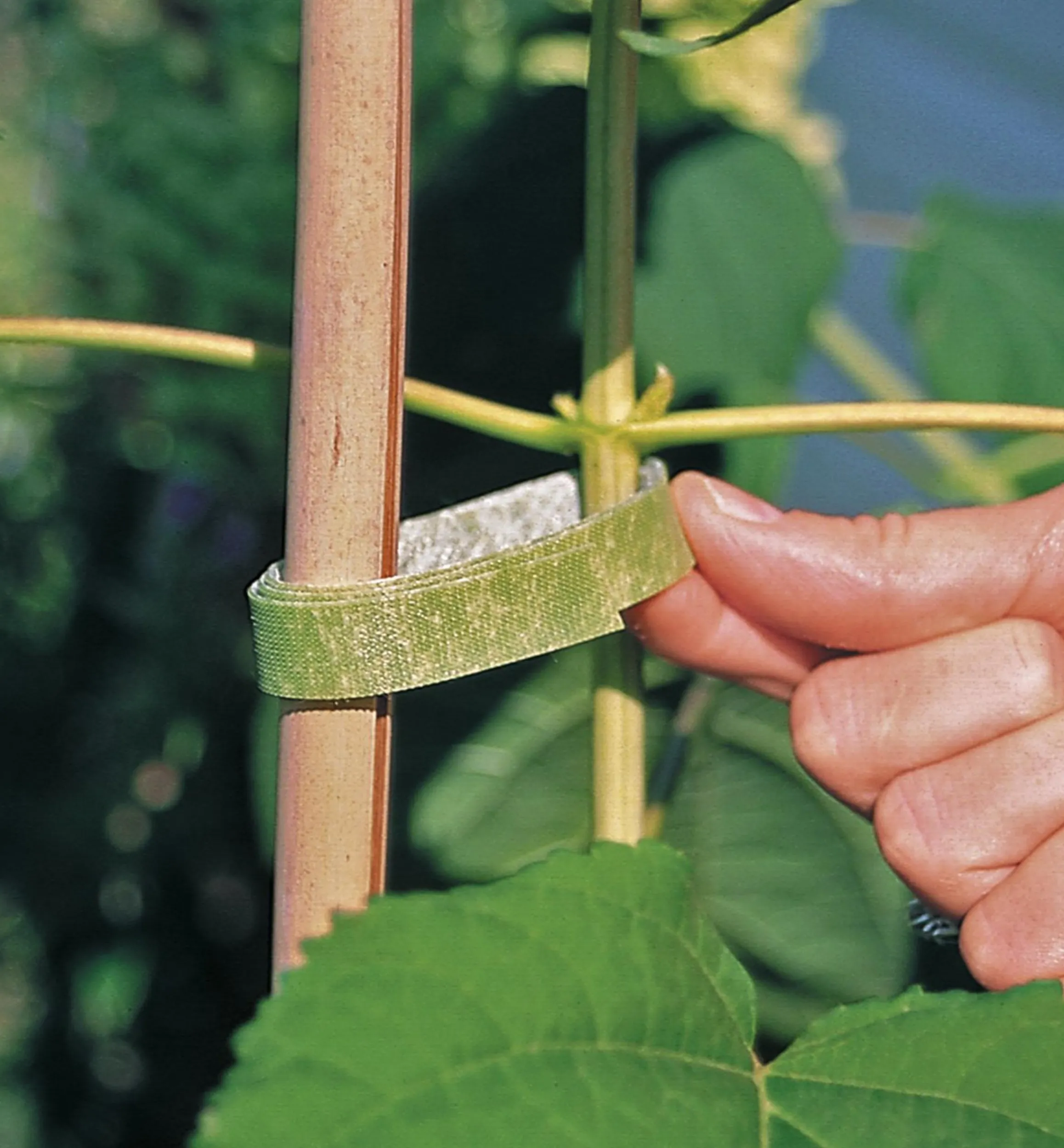 Lee Valley Ties & Clips>VELCRO® Plant Tie