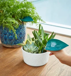 Lee Valley Indoor Gardening><noscript><img width=