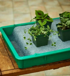 Lee Valley Indoor Gardening><noscript><img width=